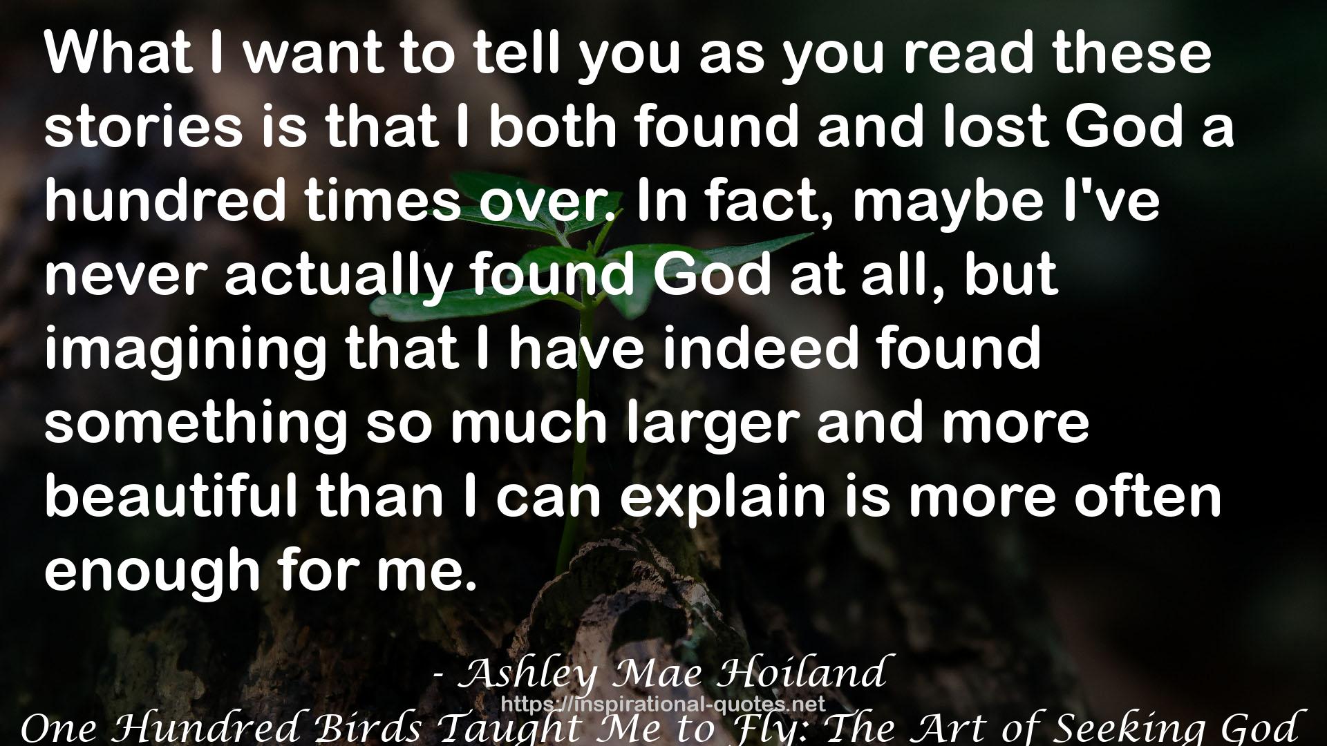 One Hundred Birds Taught Me to Fly: The Art of Seeking God QUOTES