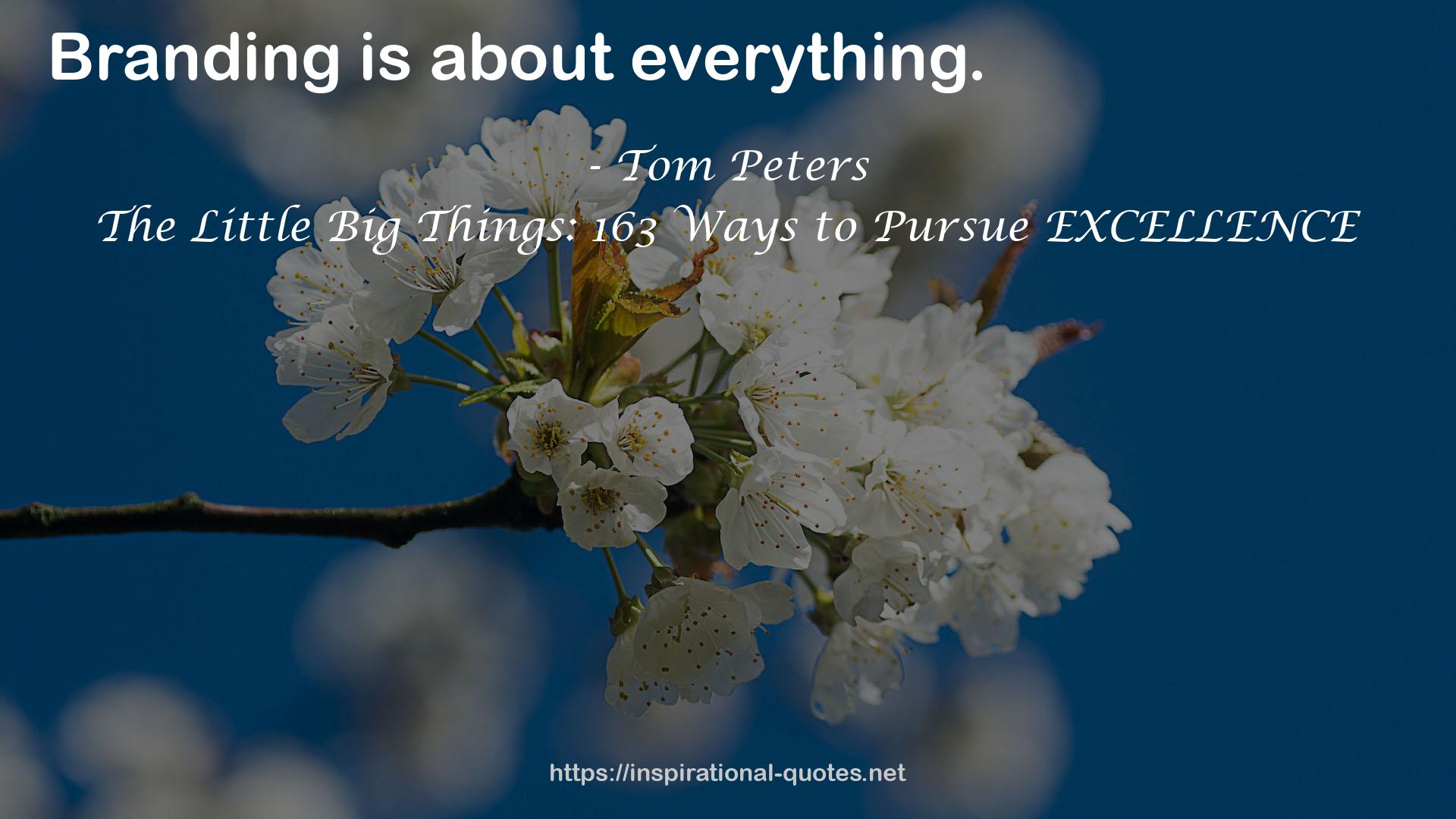 The Little Big Things: 163 Ways to Pursue EXCELLENCE QUOTES