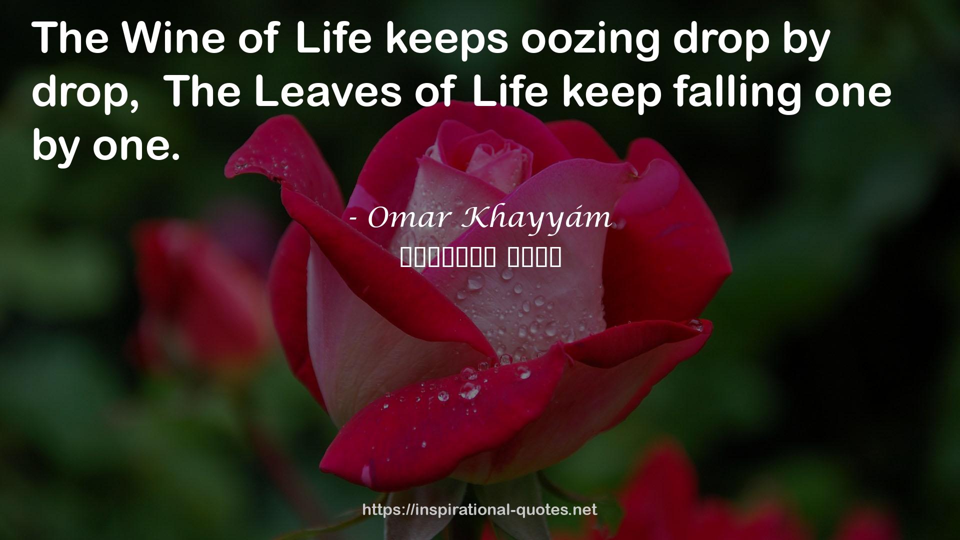 oozing drop  QUOTES