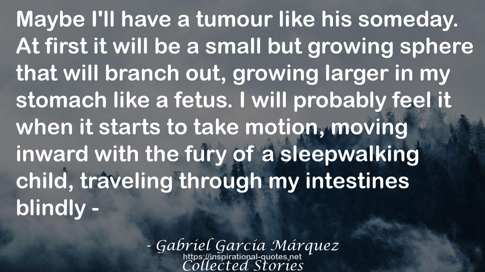 Gabriel García Márquez QUOTES