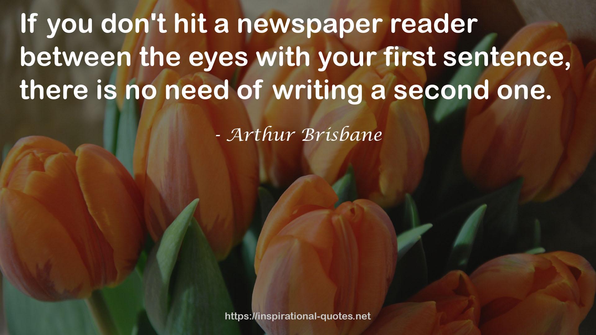 a newspaper reader  QUOTES