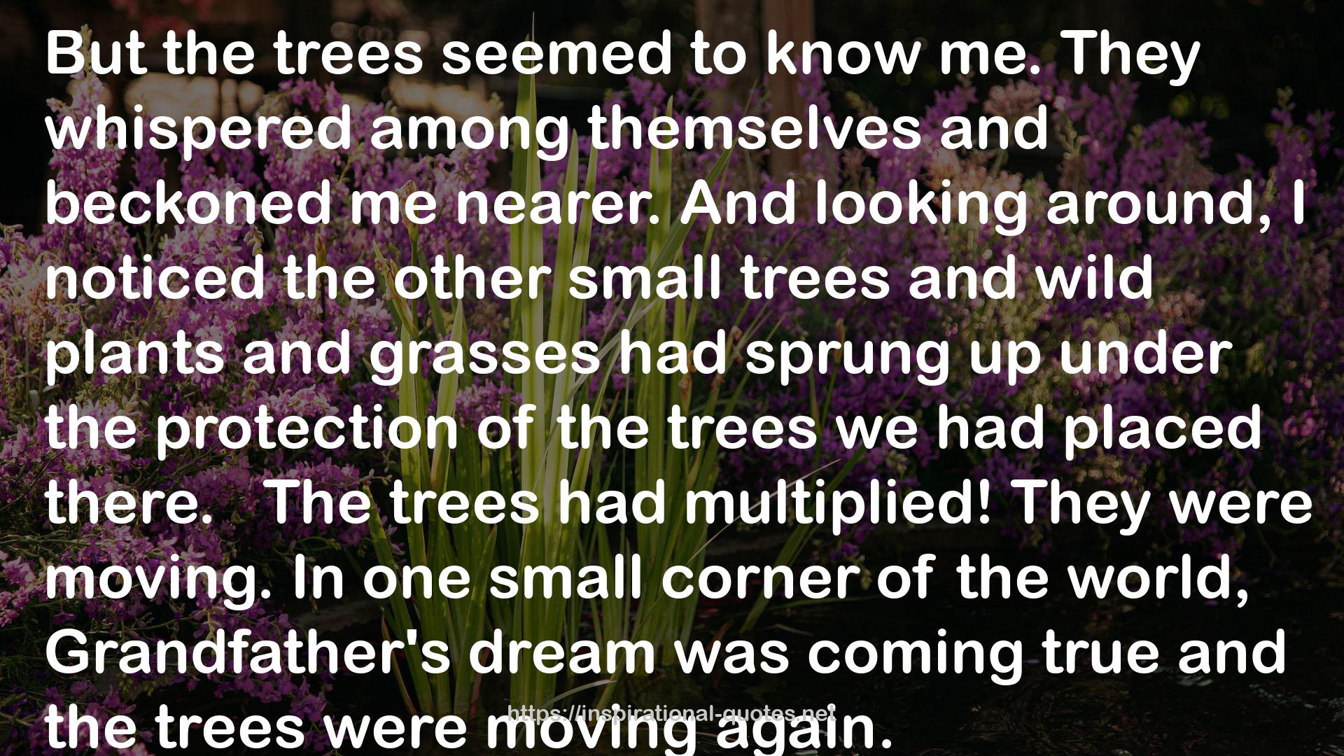 the other small trees  QUOTES