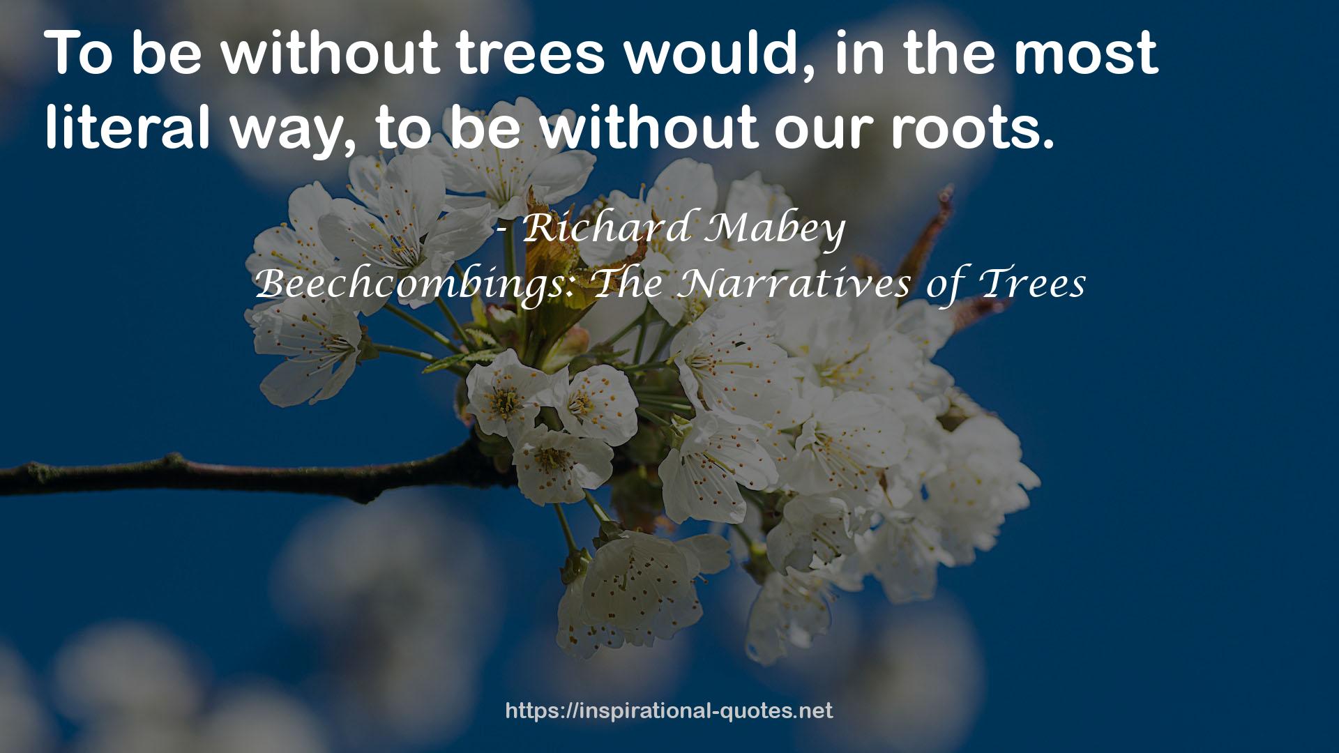 Beechcombings: The Narratives of Trees QUOTES