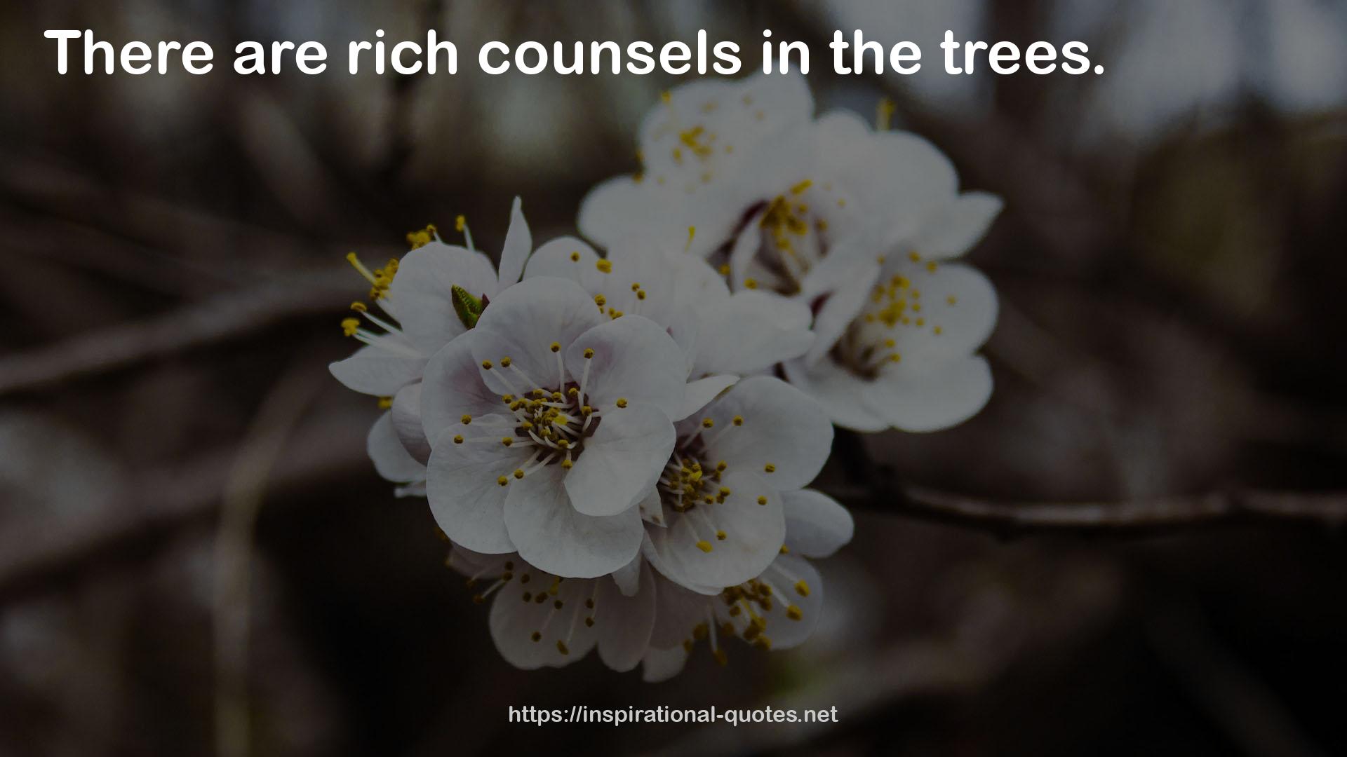 rich counsels  QUOTES