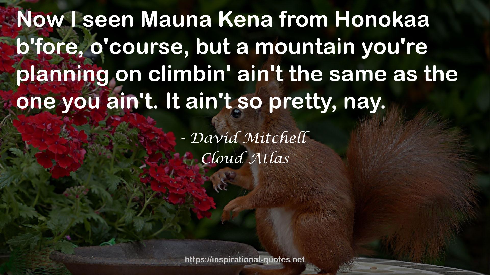 Honokaa  QUOTES