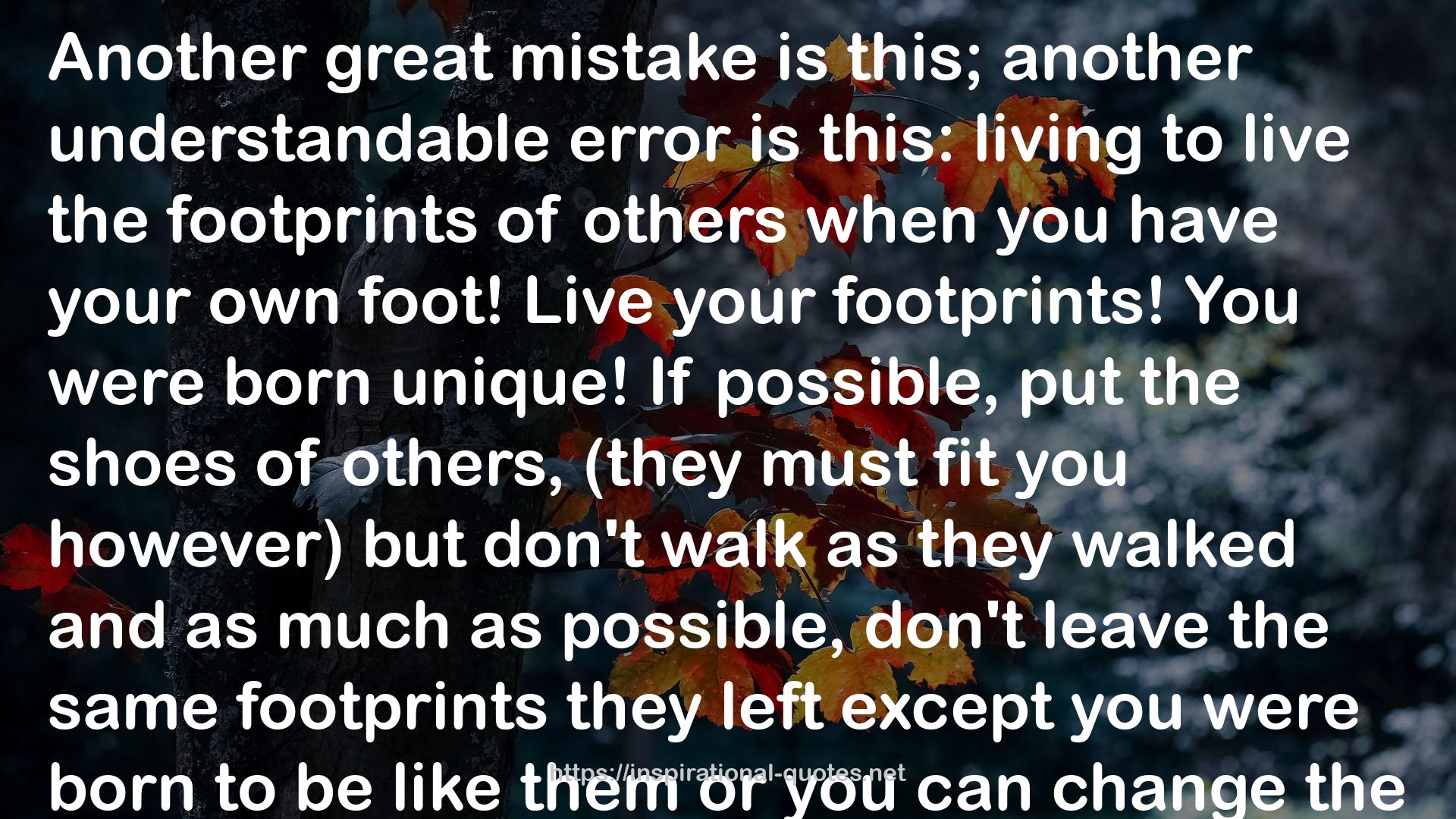 the same footprints  QUOTES