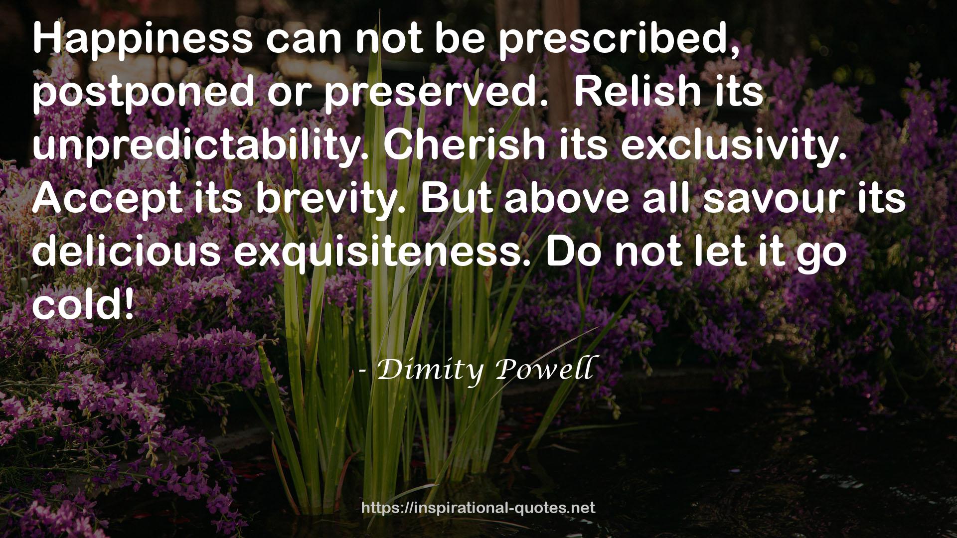 Dimity Powell QUOTES