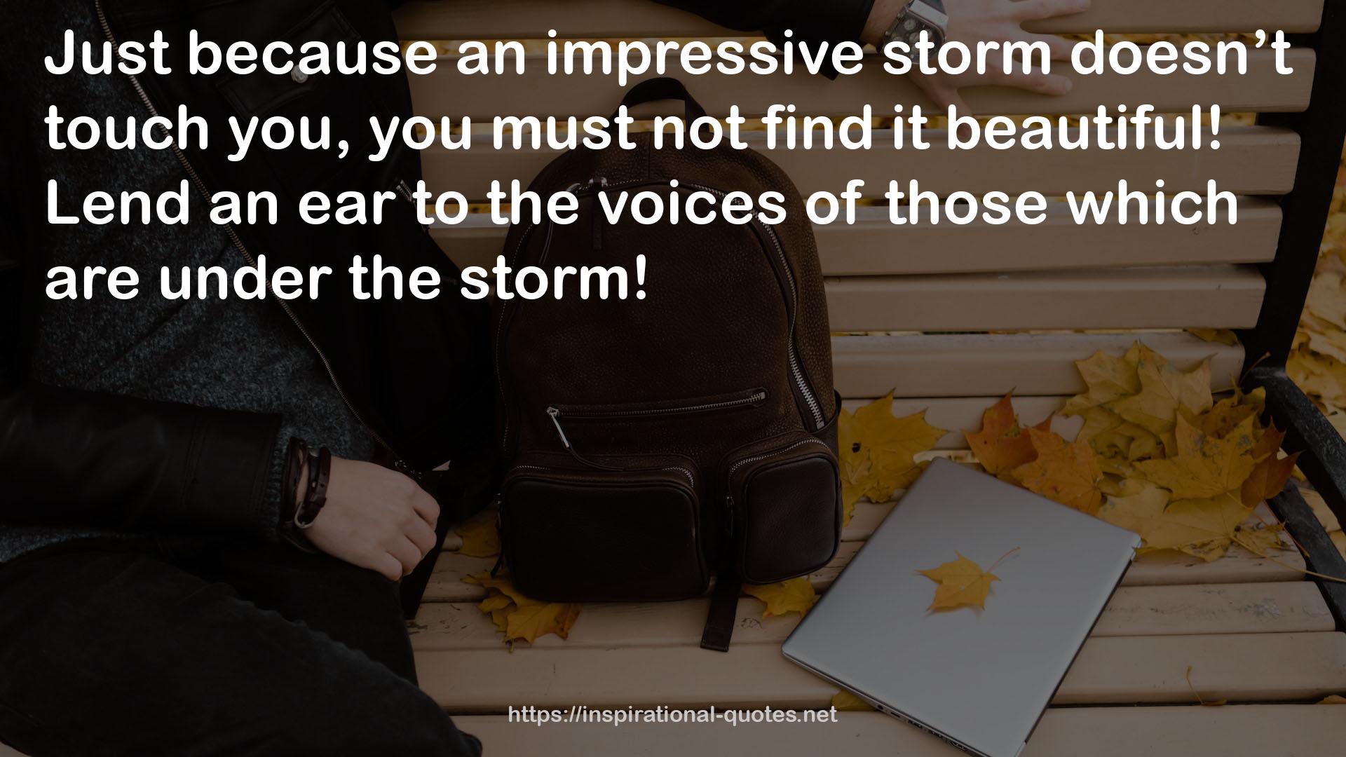 an impressive storm  QUOTES