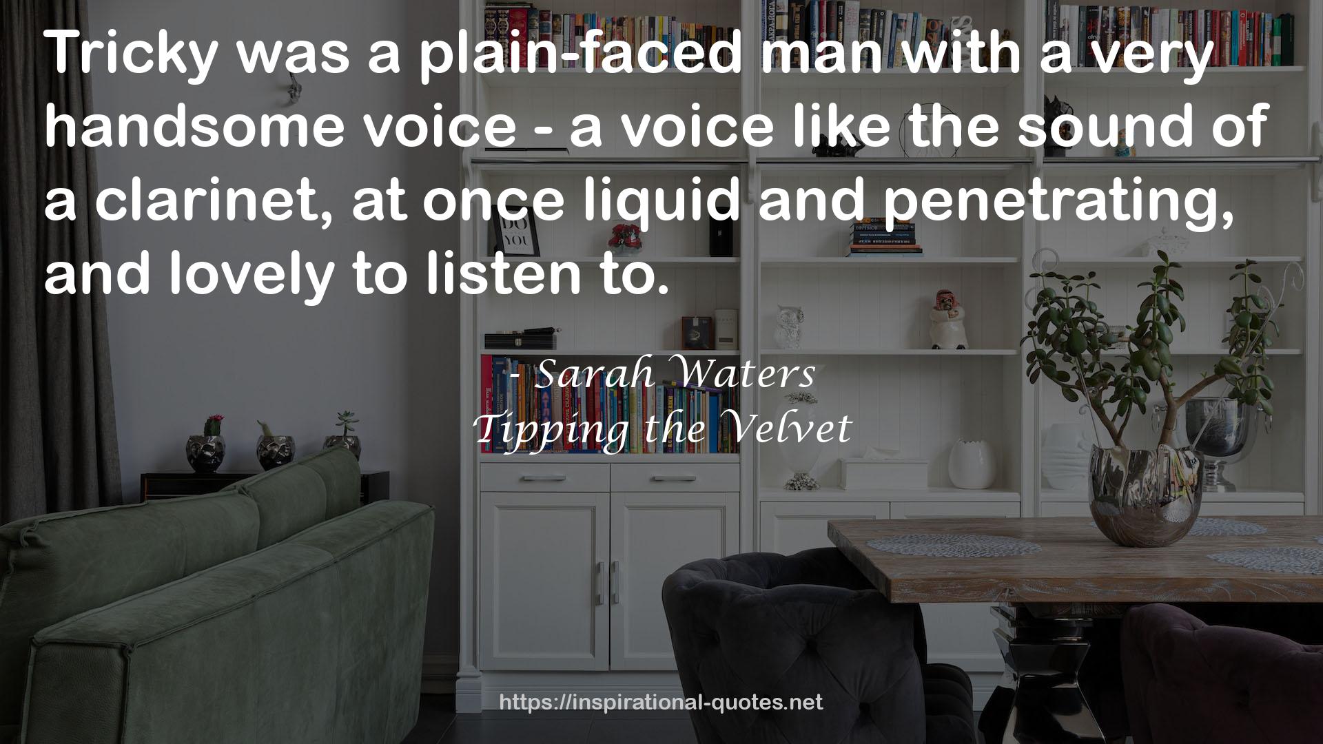 a very handsome voice  QUOTES