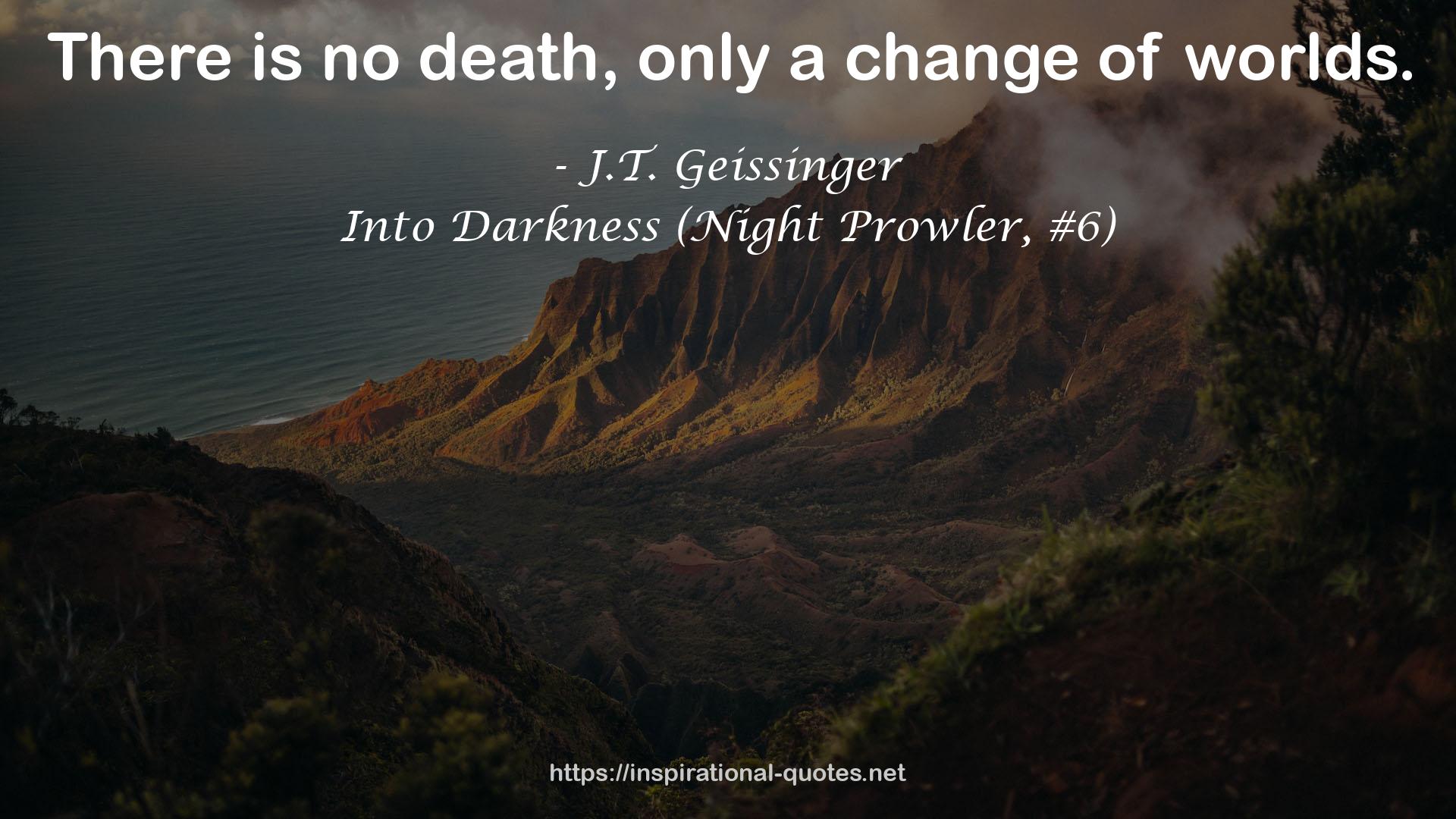 Into Darkness (Night Prowler, #6) QUOTES