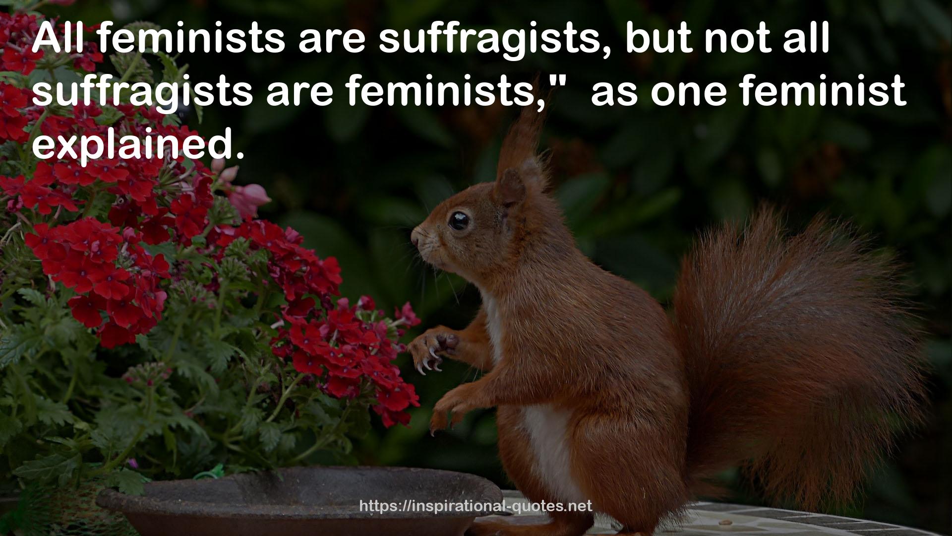 suffragists  QUOTES