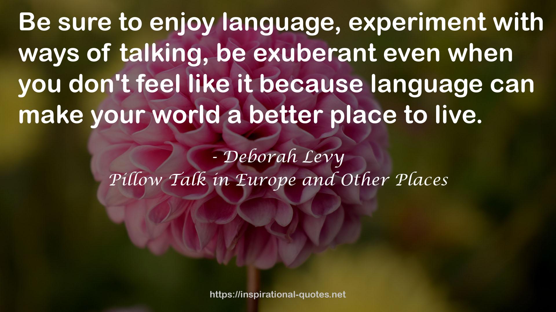 Pillow Talk in Europe and Other Places QUOTES