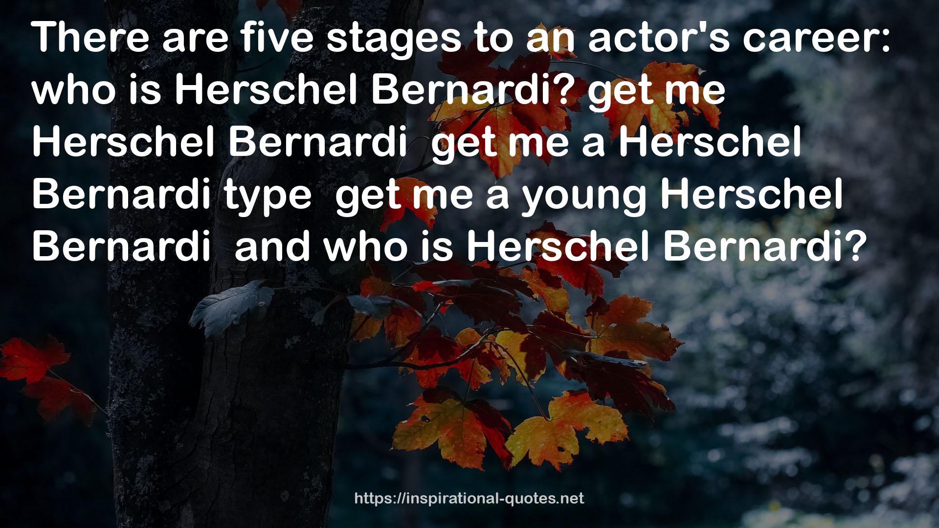 Herschel Bernardi  QUOTES