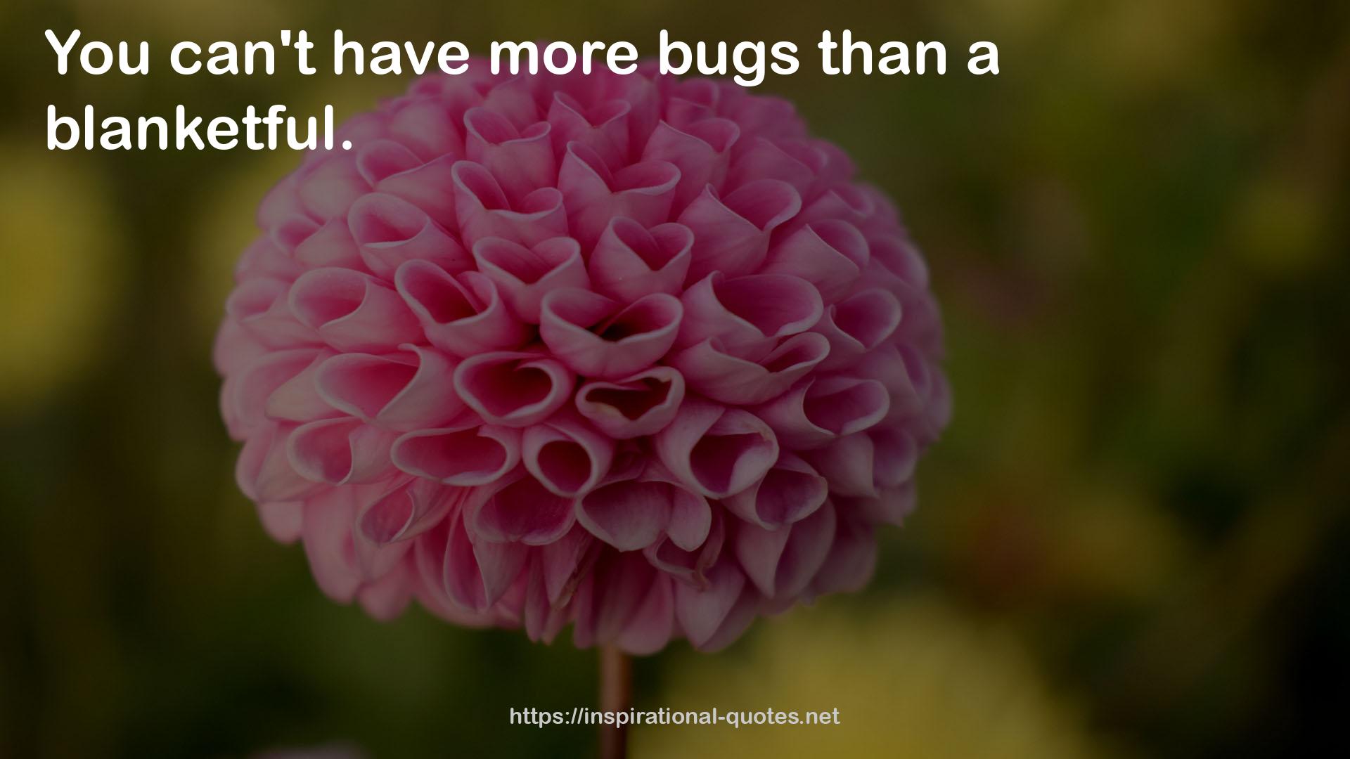 bugs  QUOTES
