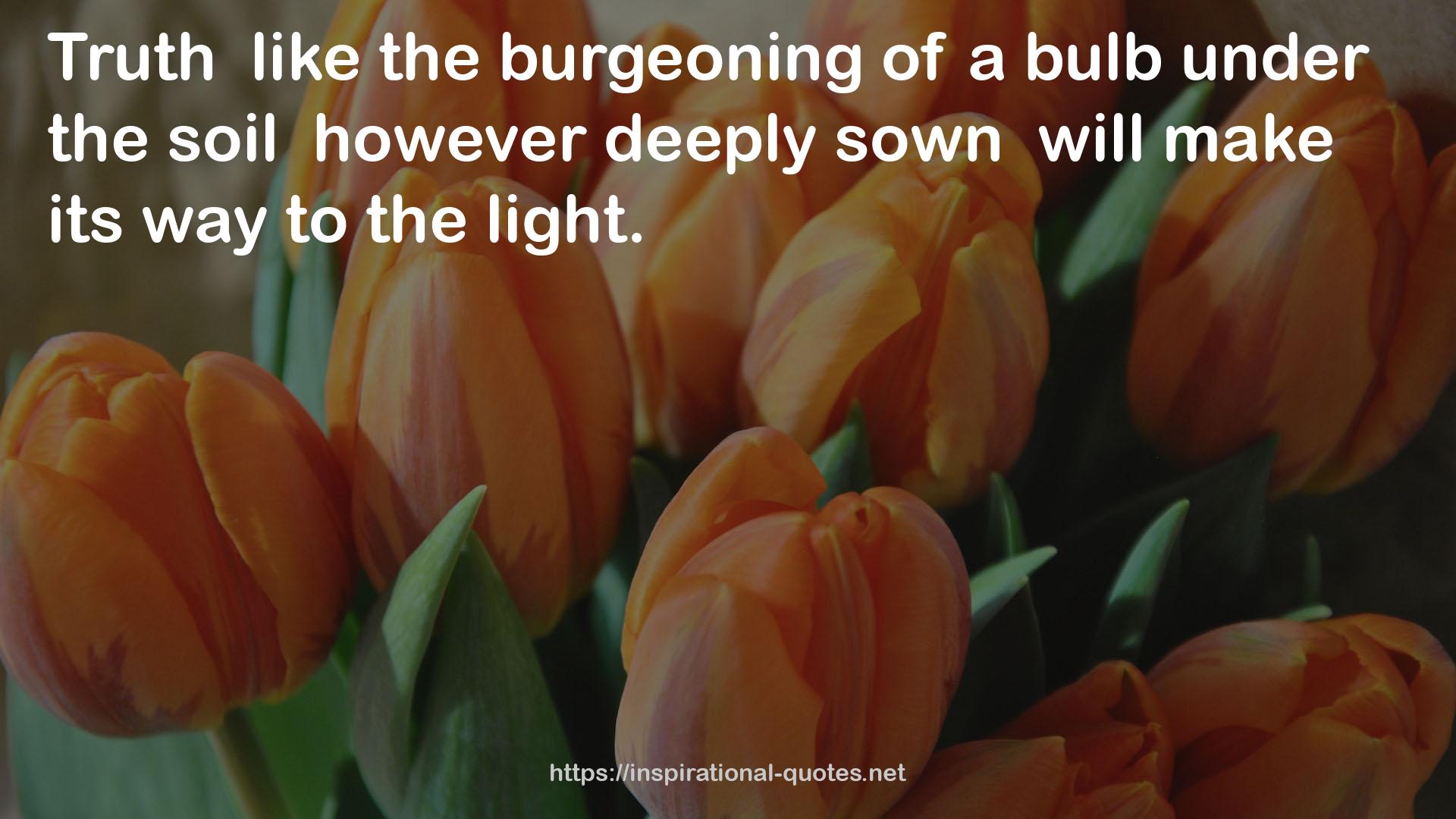 bulb  QUOTES