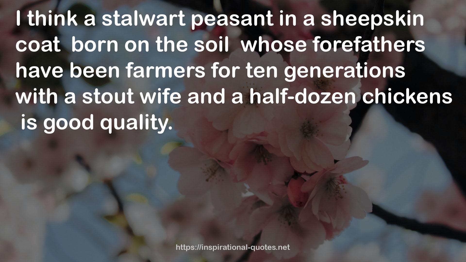 a stalwart peasant  QUOTES