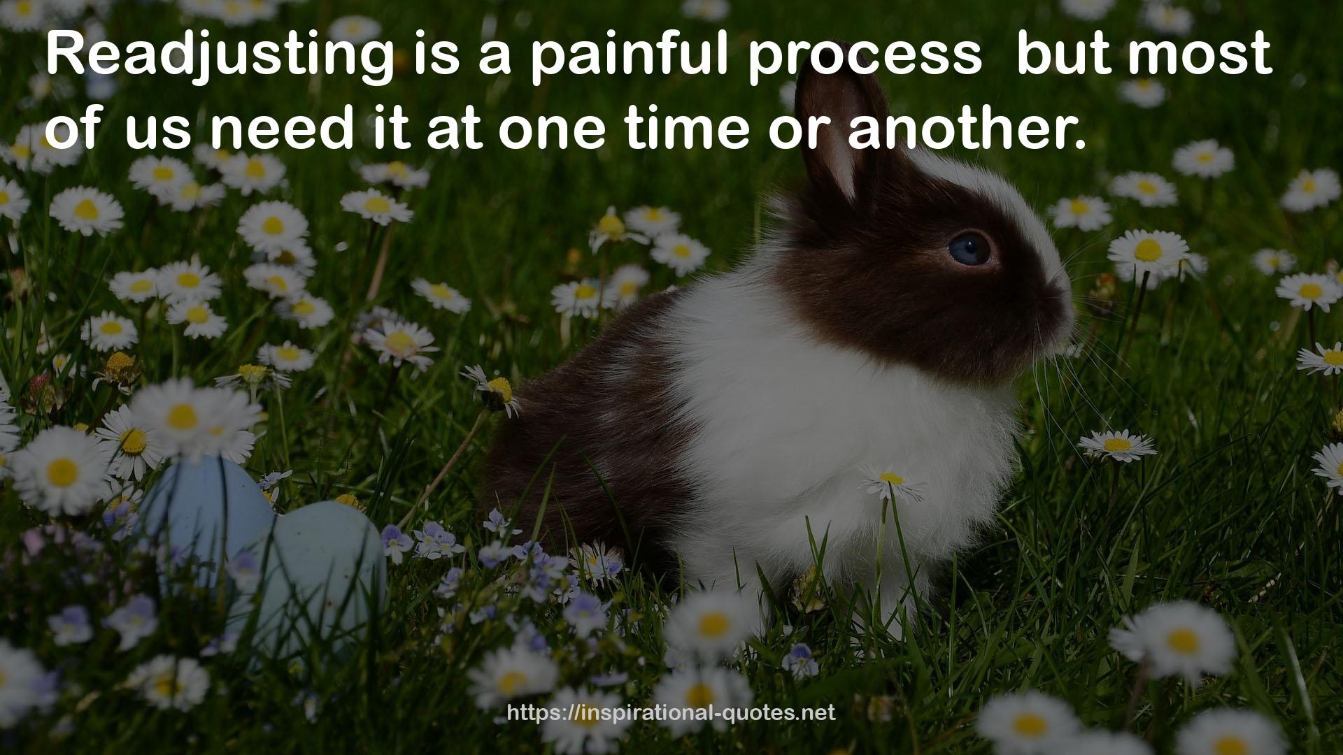 a painful process  QUOTES