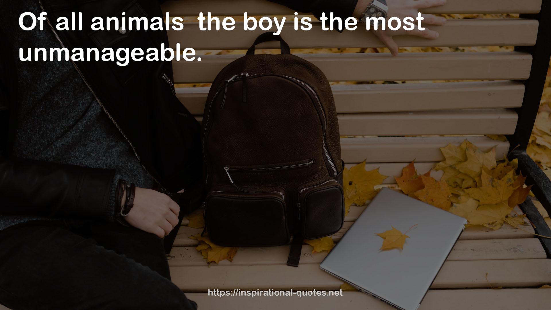 all animals  QUOTES