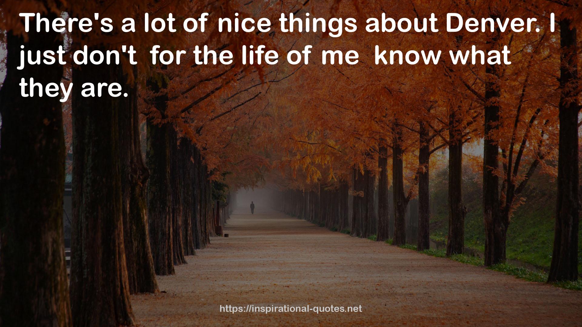 nice things  QUOTES