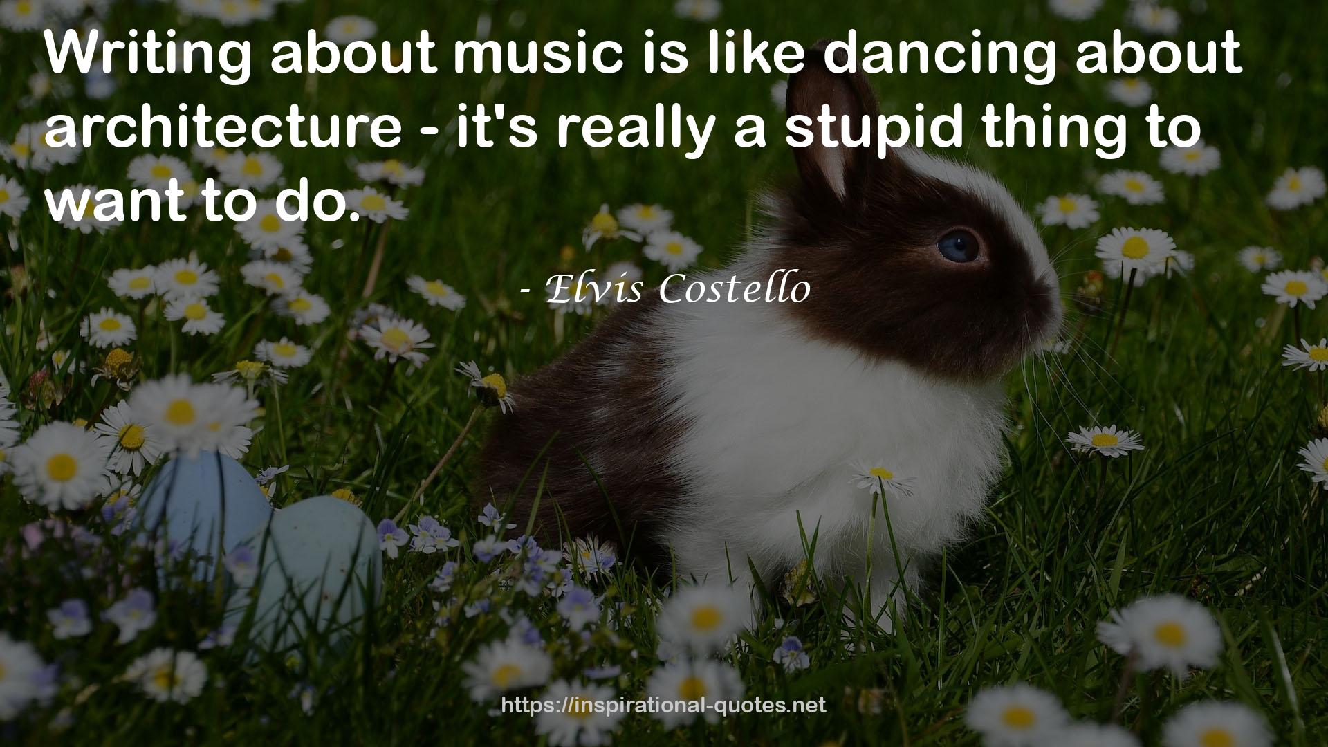 Elvis Costello QUOTES