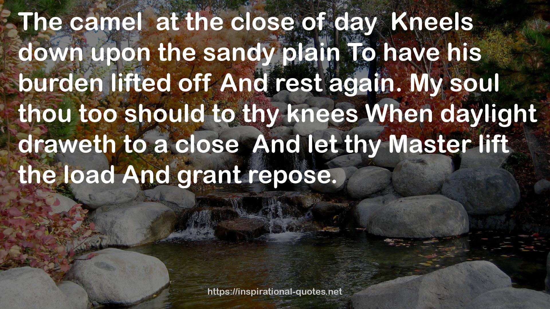 thy knees  QUOTES