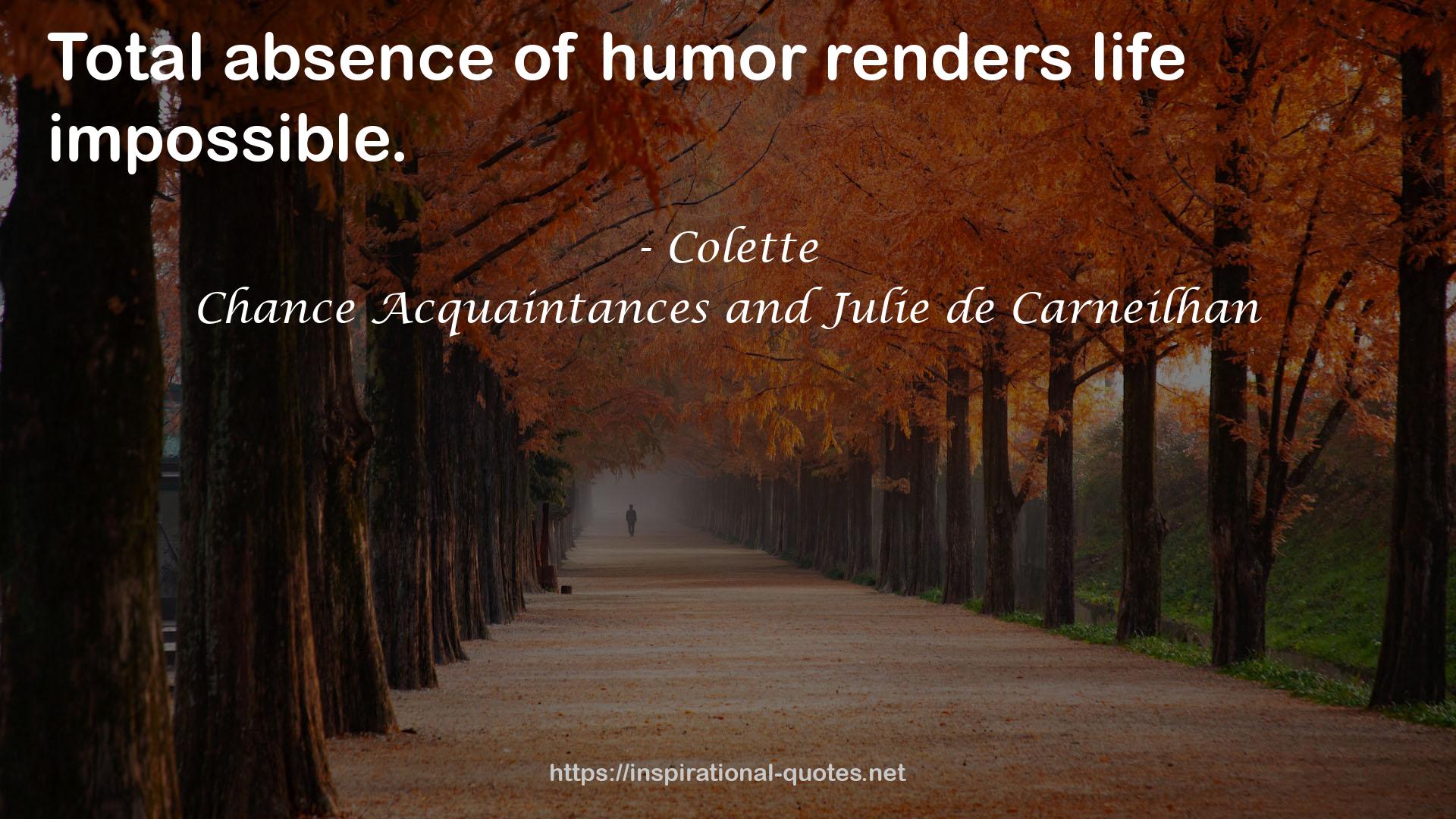 Chance Acquaintances and Julie de Carneilhan QUOTES