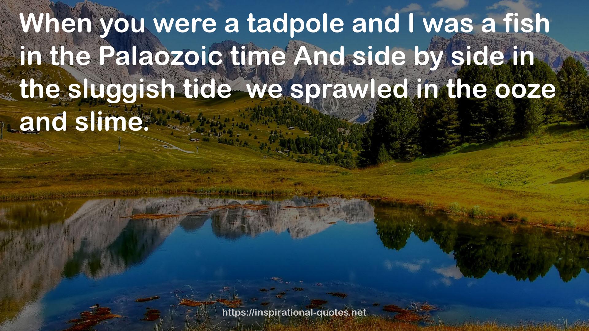the Palaozoic time  QUOTES