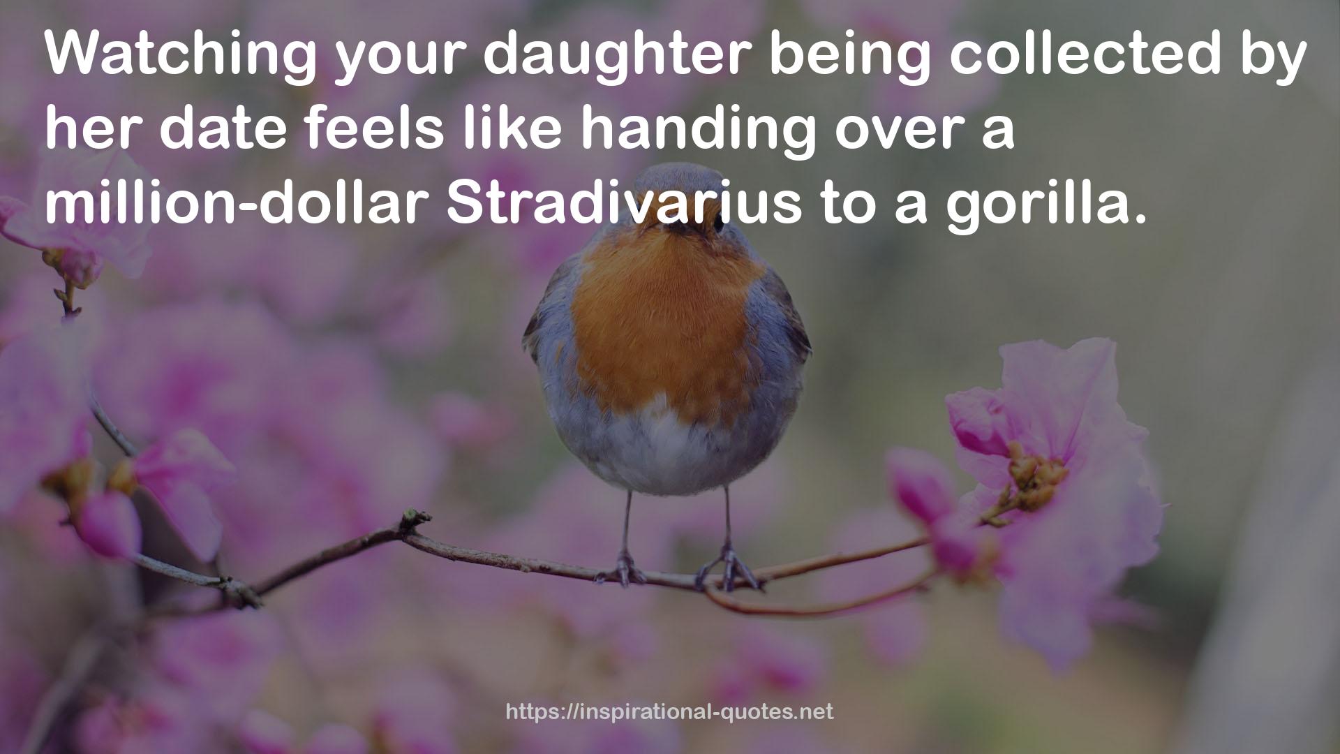 a million-dollar Stradivarius  QUOTES