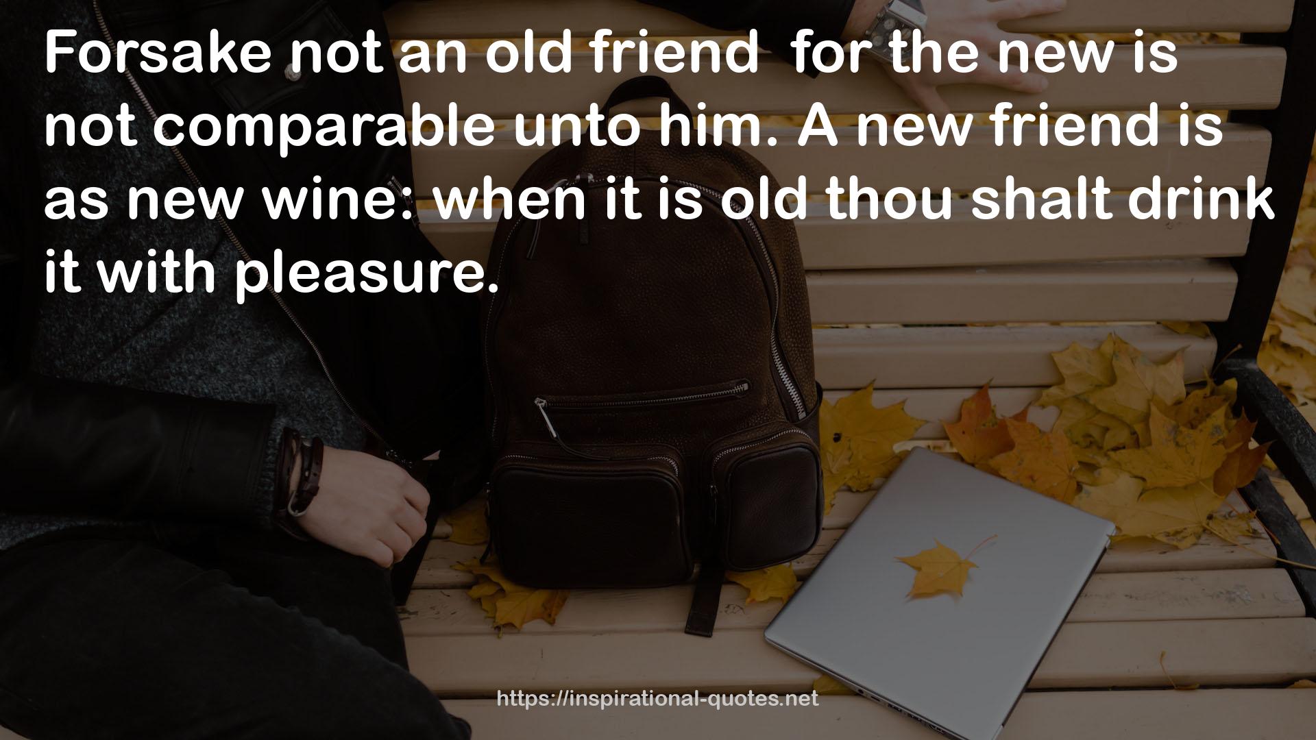 not an old friend  QUOTES