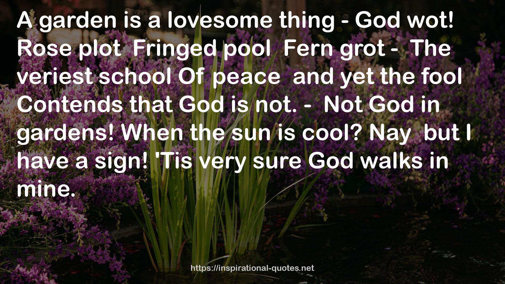 Fern grot  QUOTES