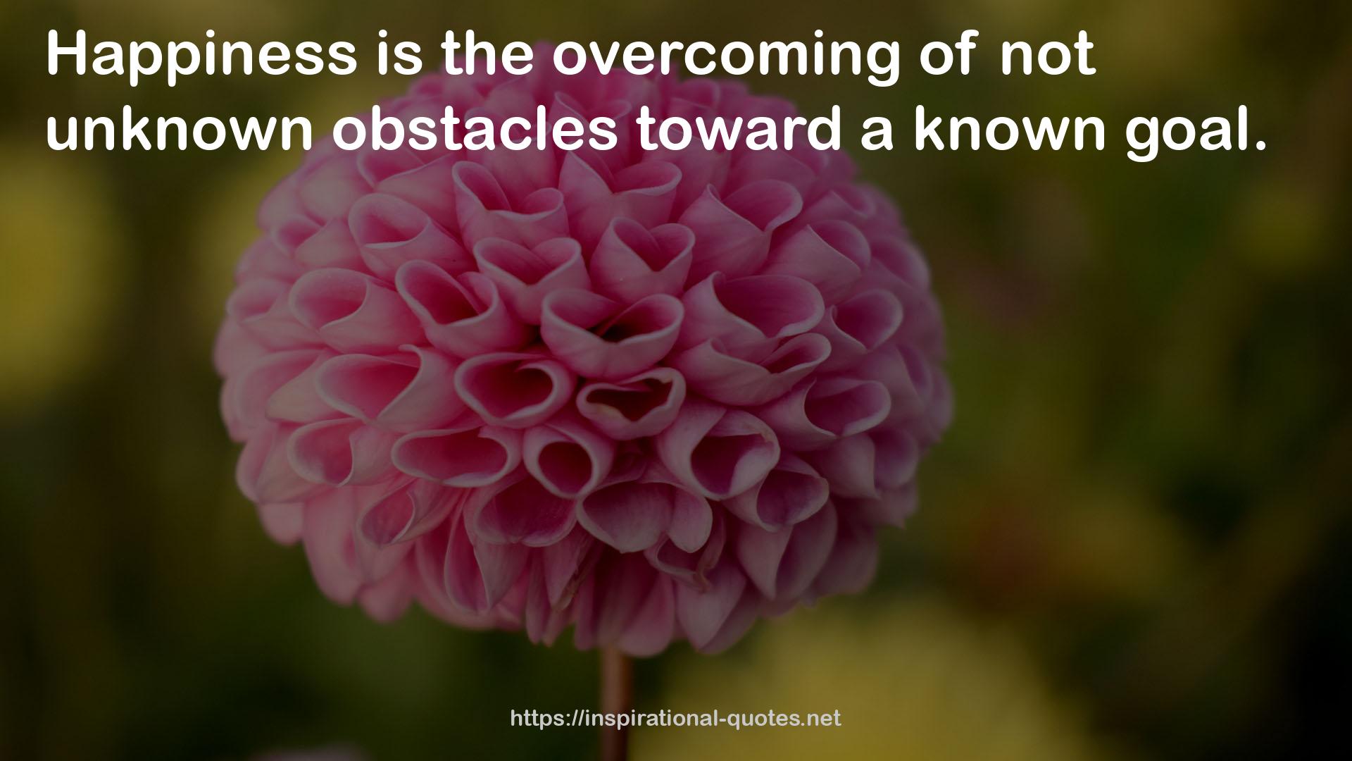 not unknown obstacles  QUOTES