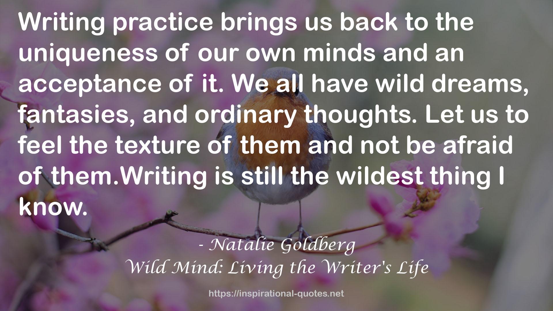 Wild Mind: Living the Writer's Life QUOTES