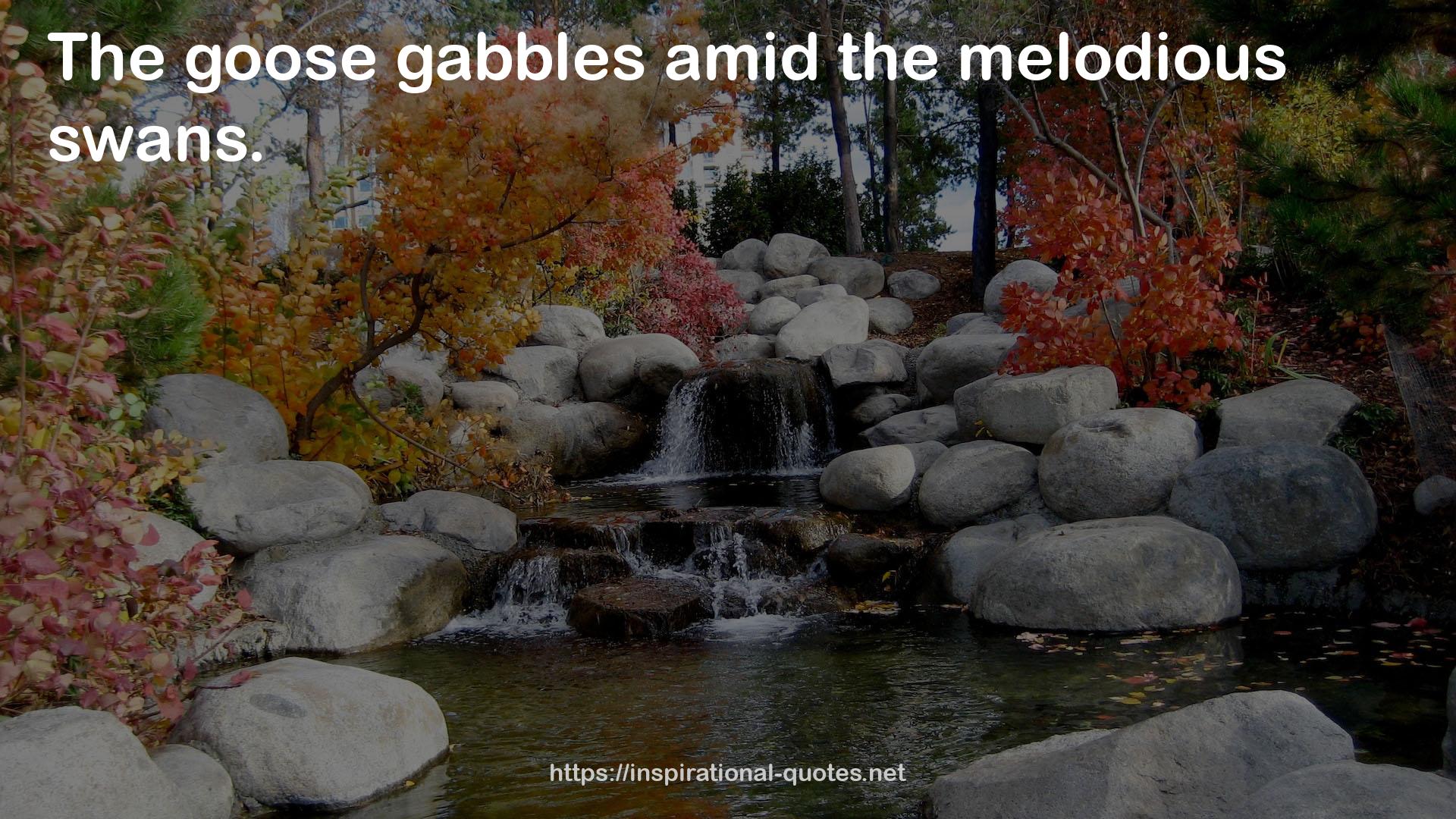 gabbles  QUOTES