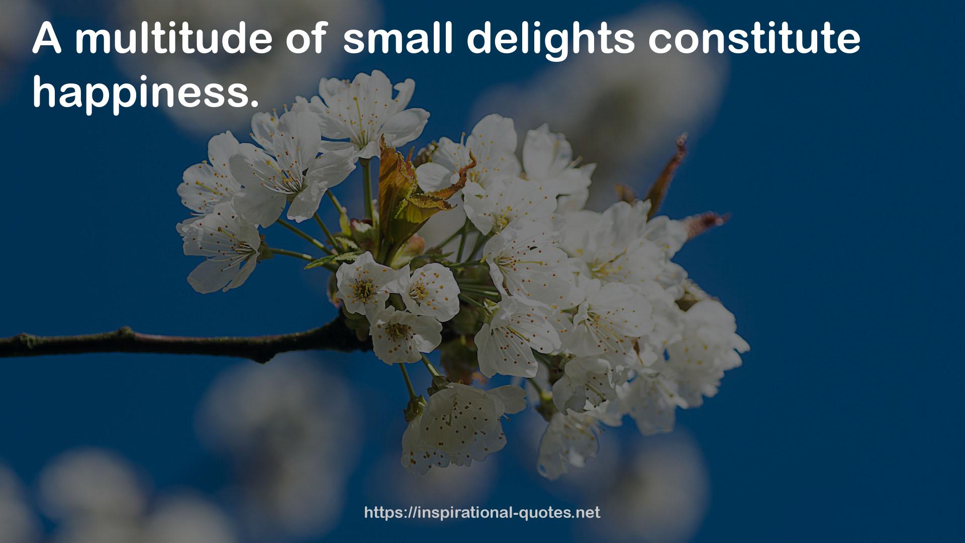 small delights  QUOTES