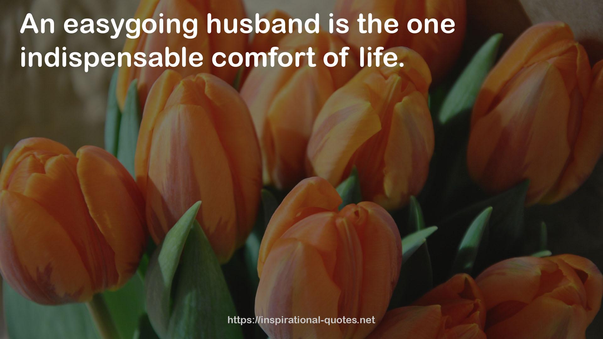 the one indispensable comfort  QUOTES