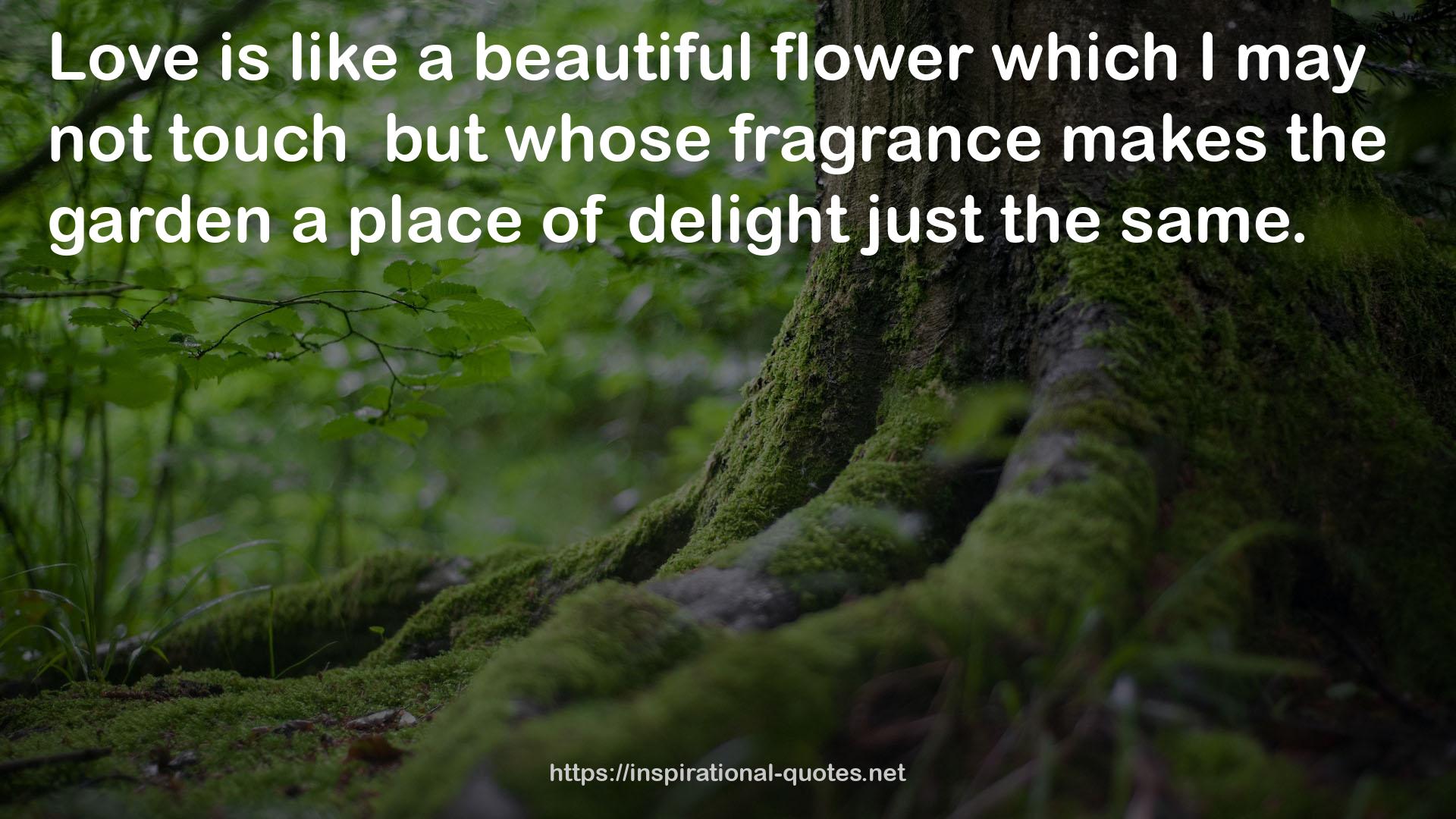 whose fragrance  QUOTES