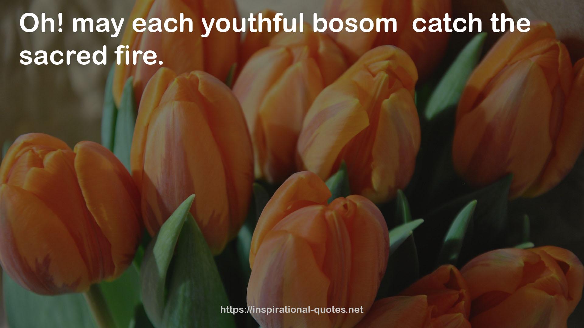 youthful bosom  QUOTES