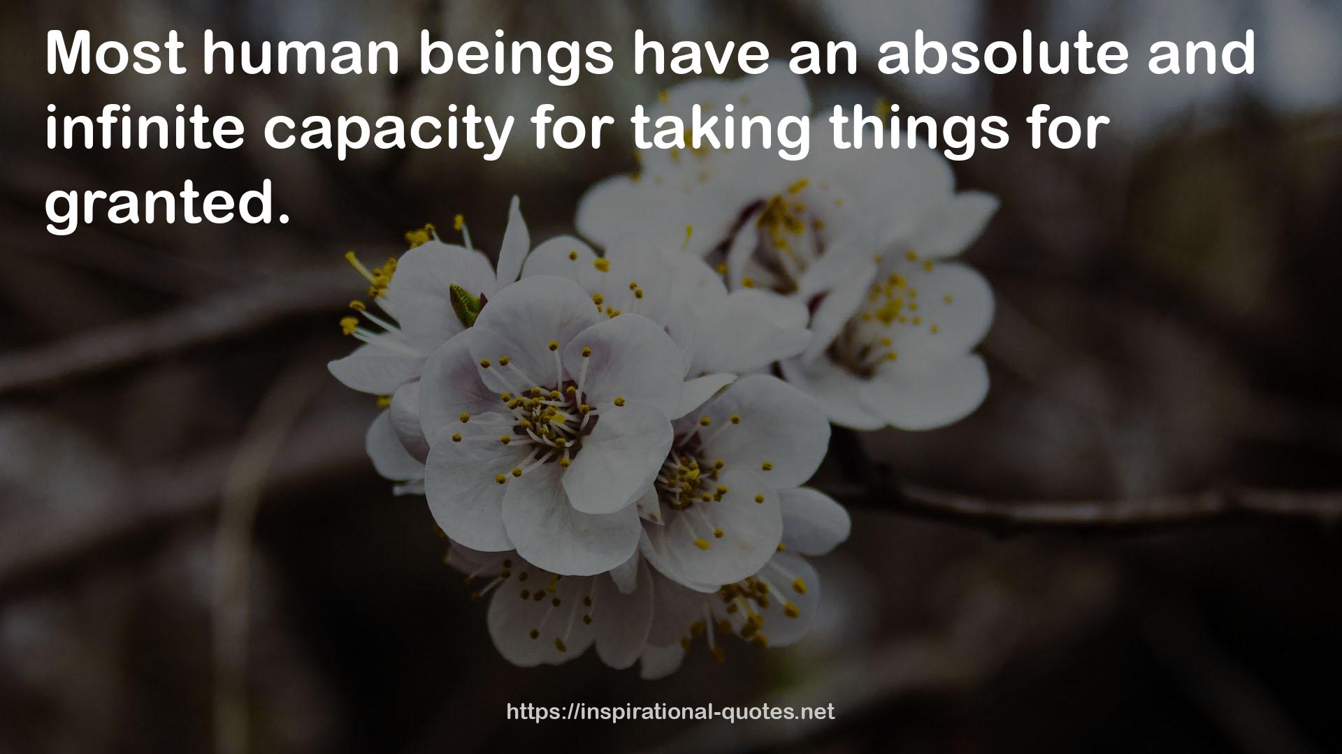 an absolute and infinite capacity  QUOTES