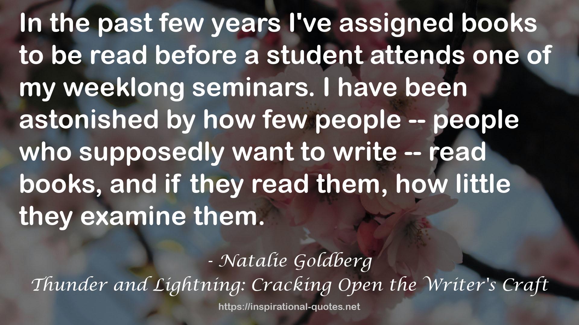 Thunder and Lightning: Cracking Open the Writer's Craft QUOTES