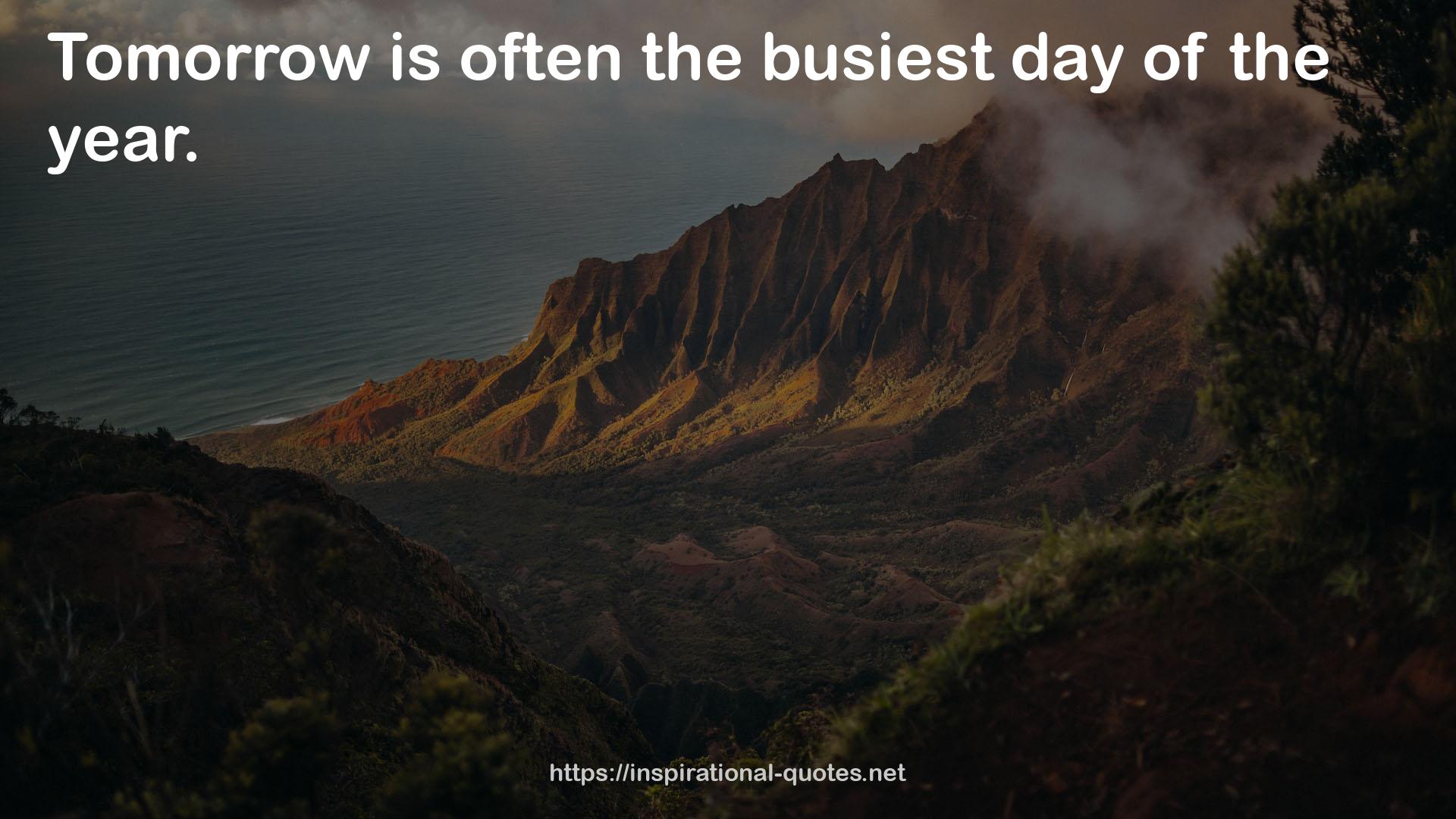 the busiest day  QUOTES