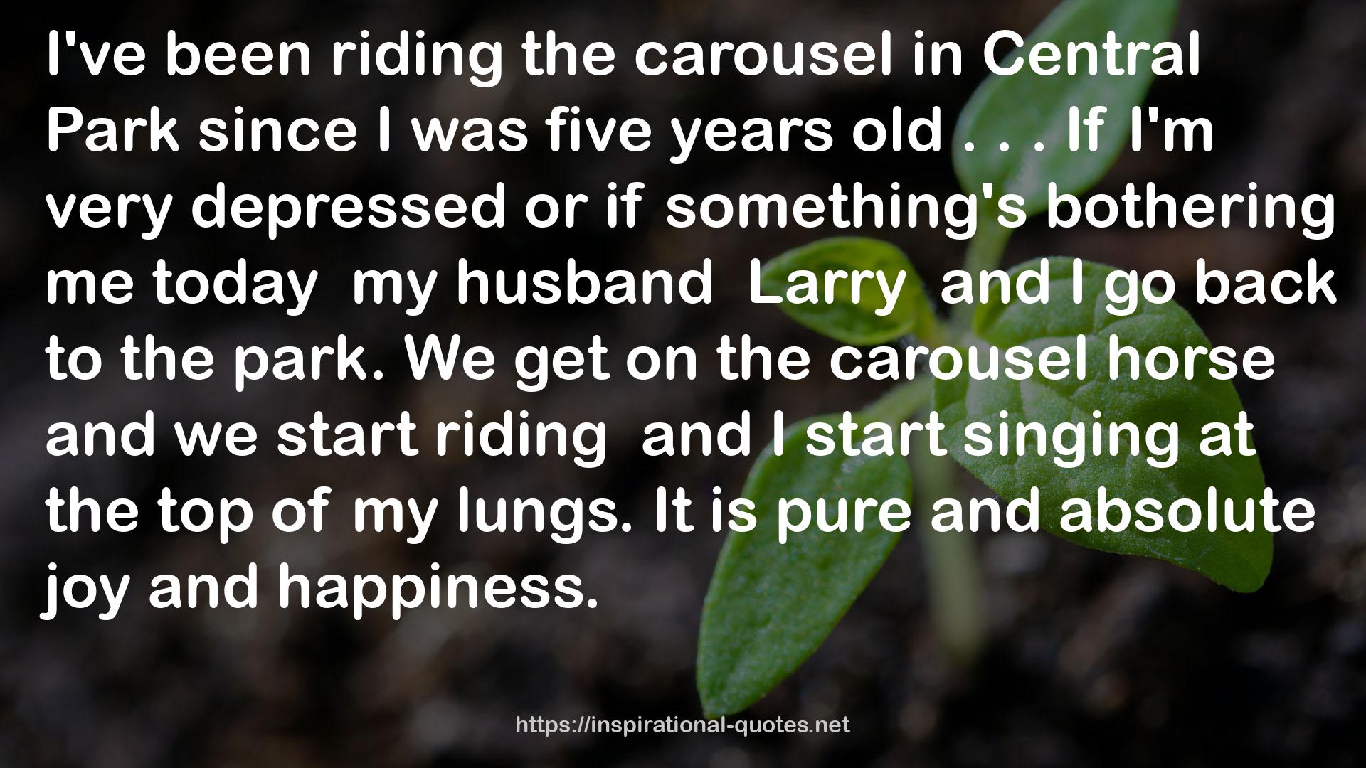 the carousel horse  QUOTES