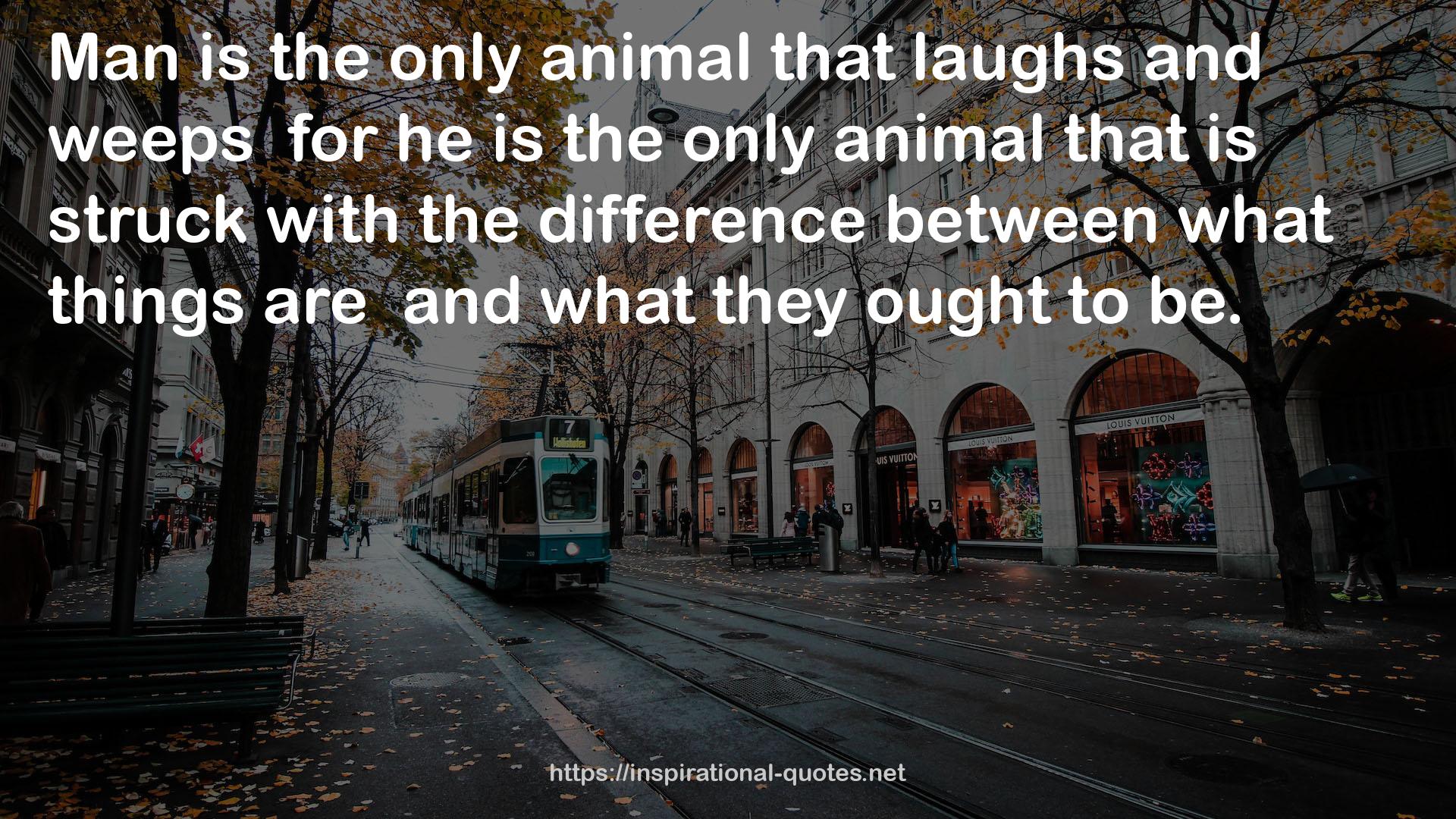 the only animal  QUOTES