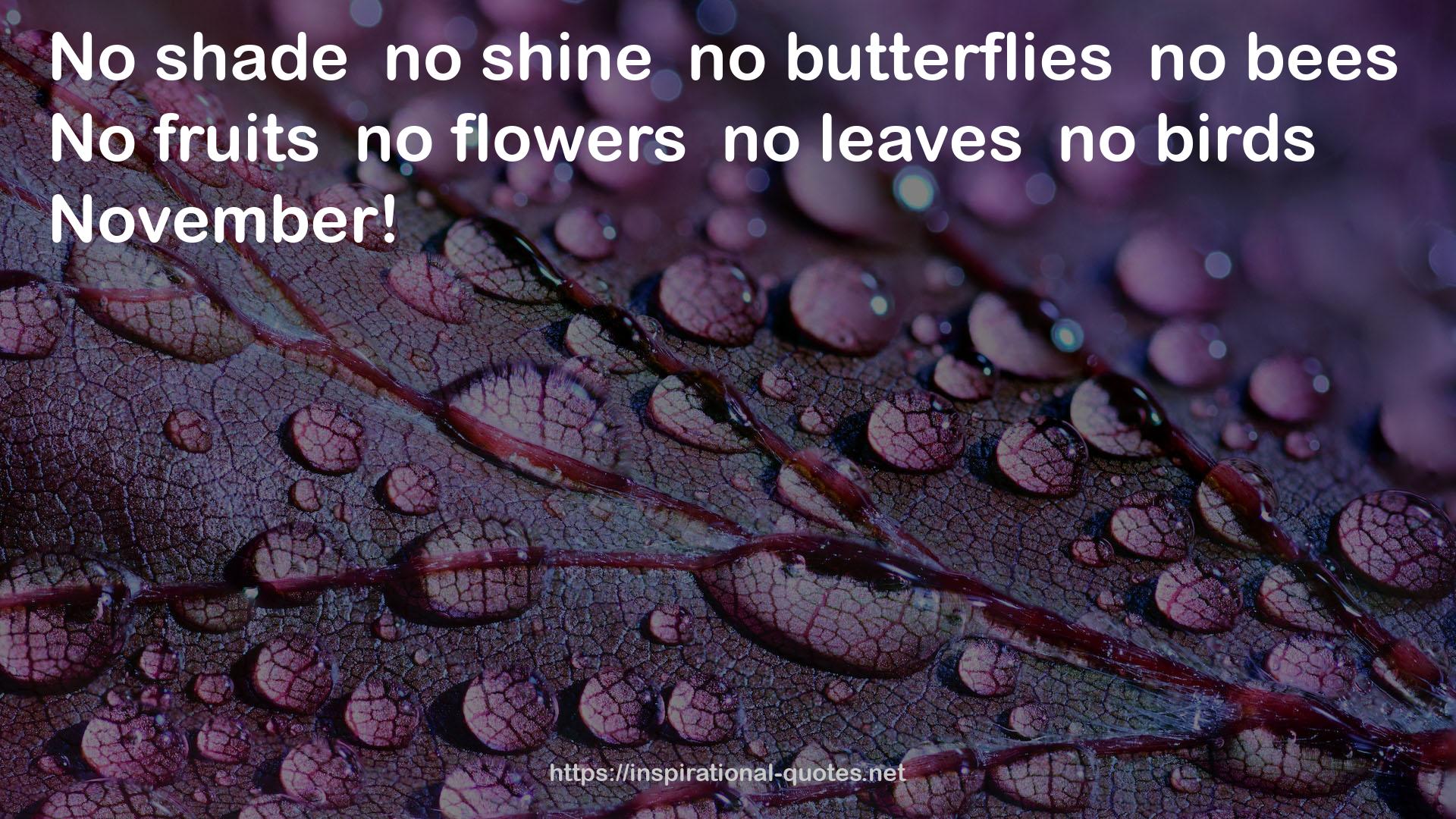 no butterflies  QUOTES