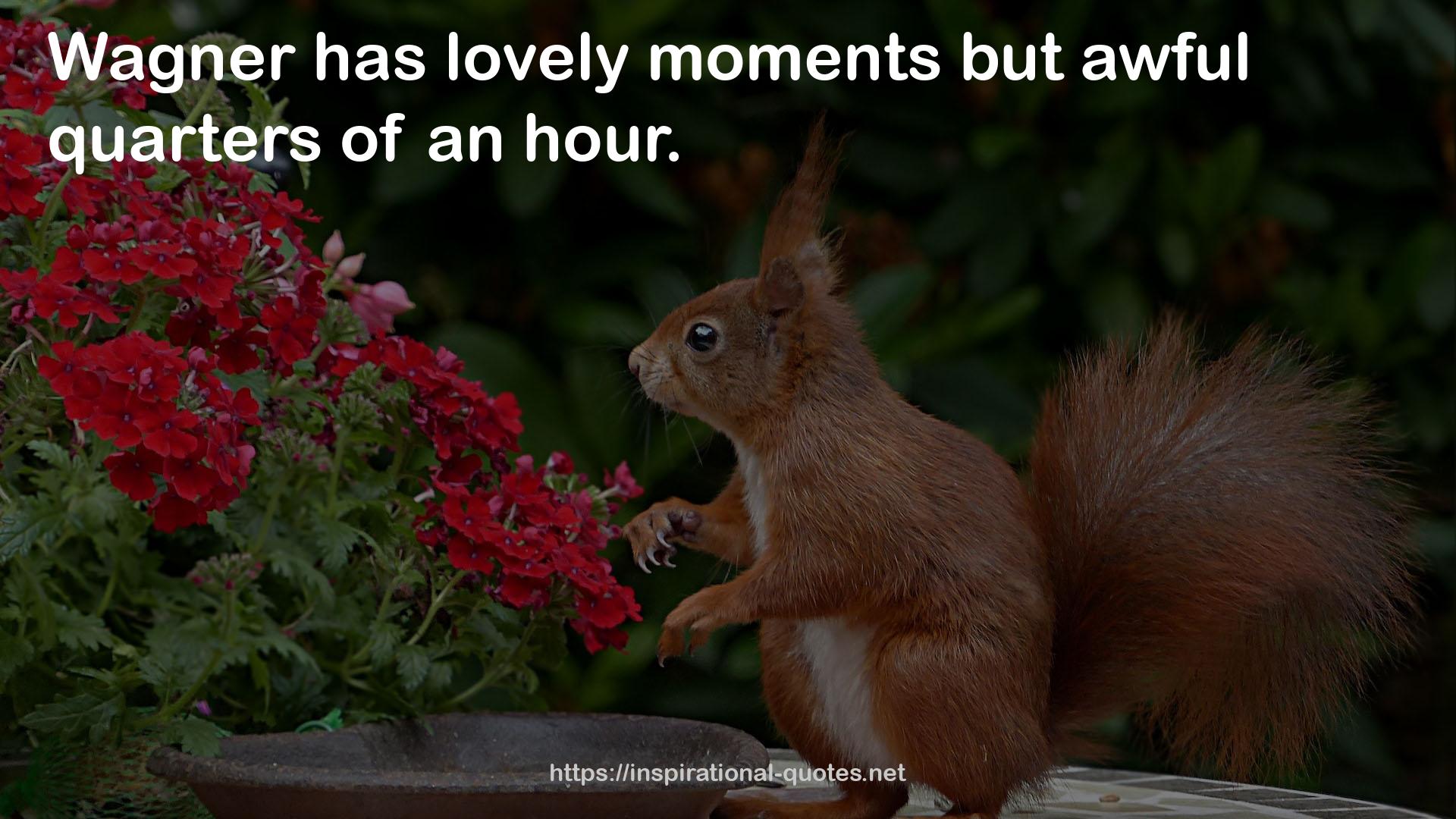 lovely moments  QUOTES