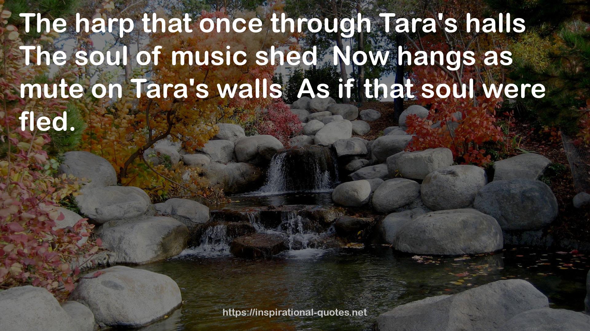 Tara's walls  QUOTES