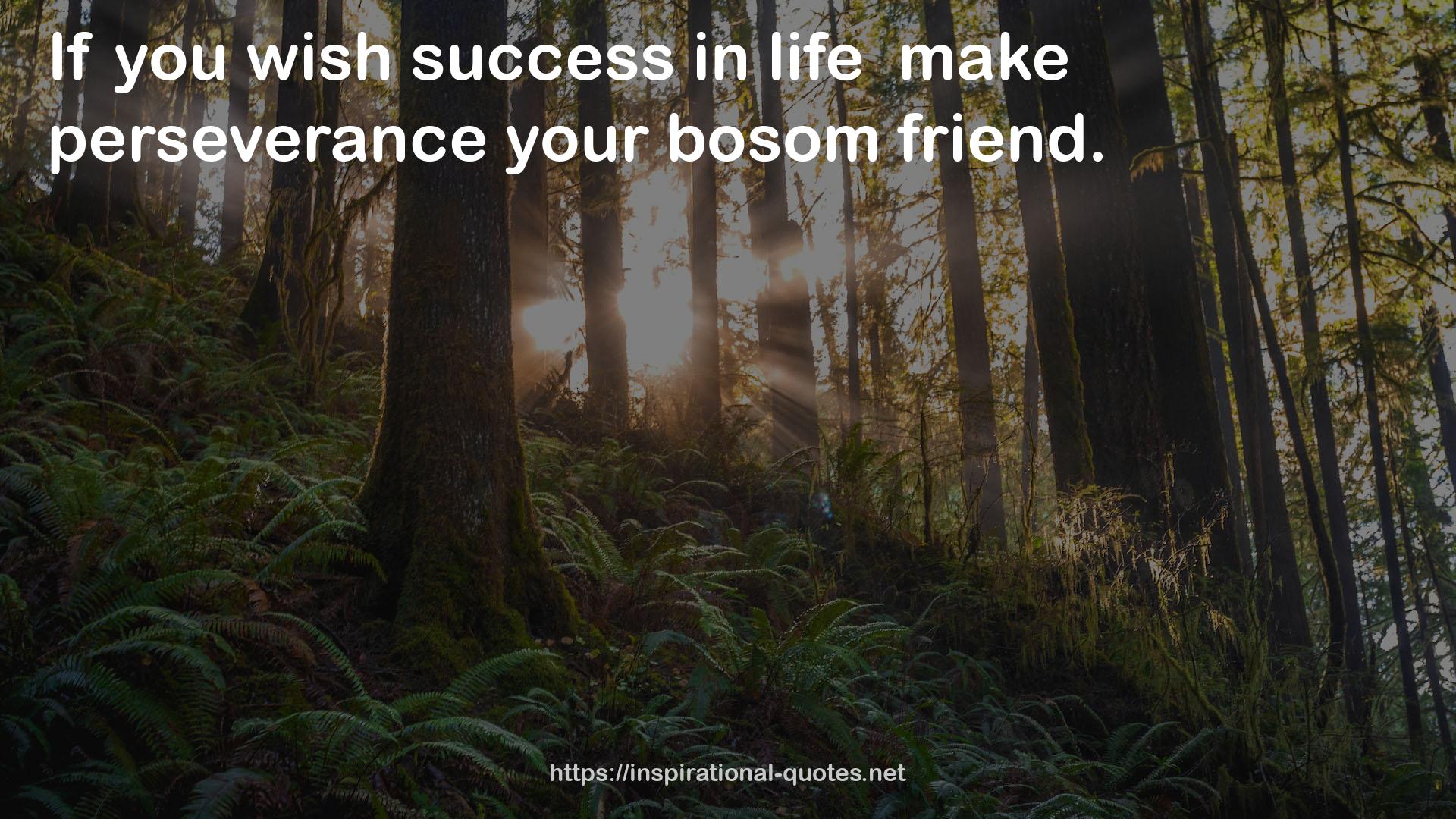 bosom  QUOTES