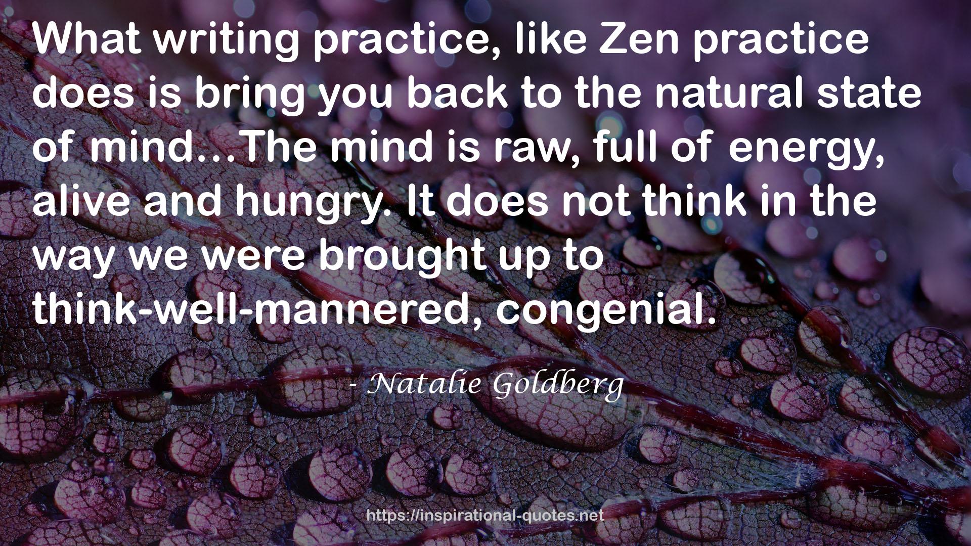 Zen practice  QUOTES