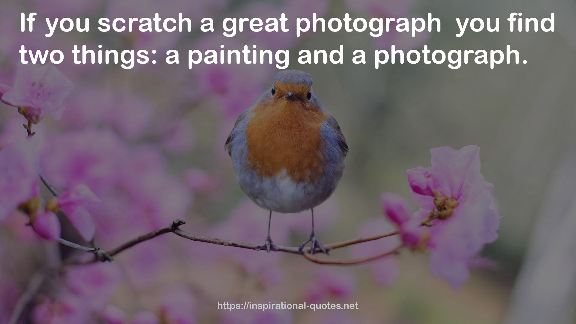 A great photograph  QUOTES