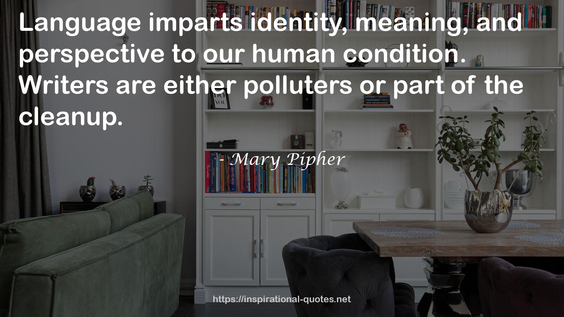 either polluters  QUOTES