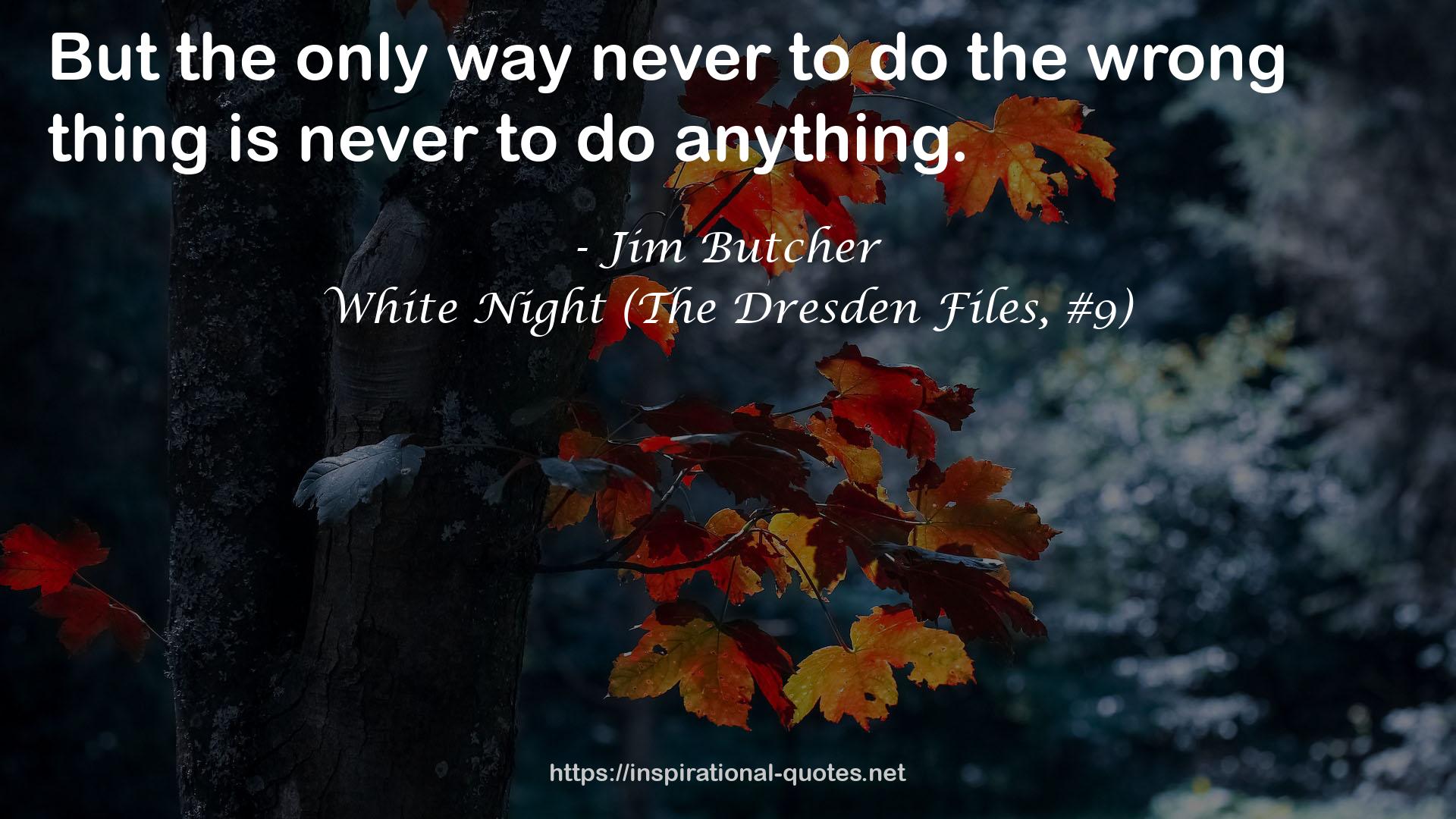 White Night (The Dresden Files, #9) QUOTES